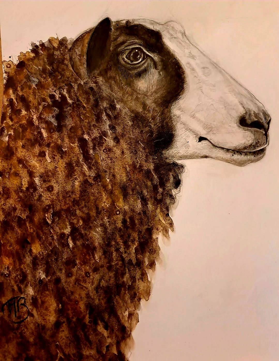 Zwartbles. Mylène Caïe-Bertin
