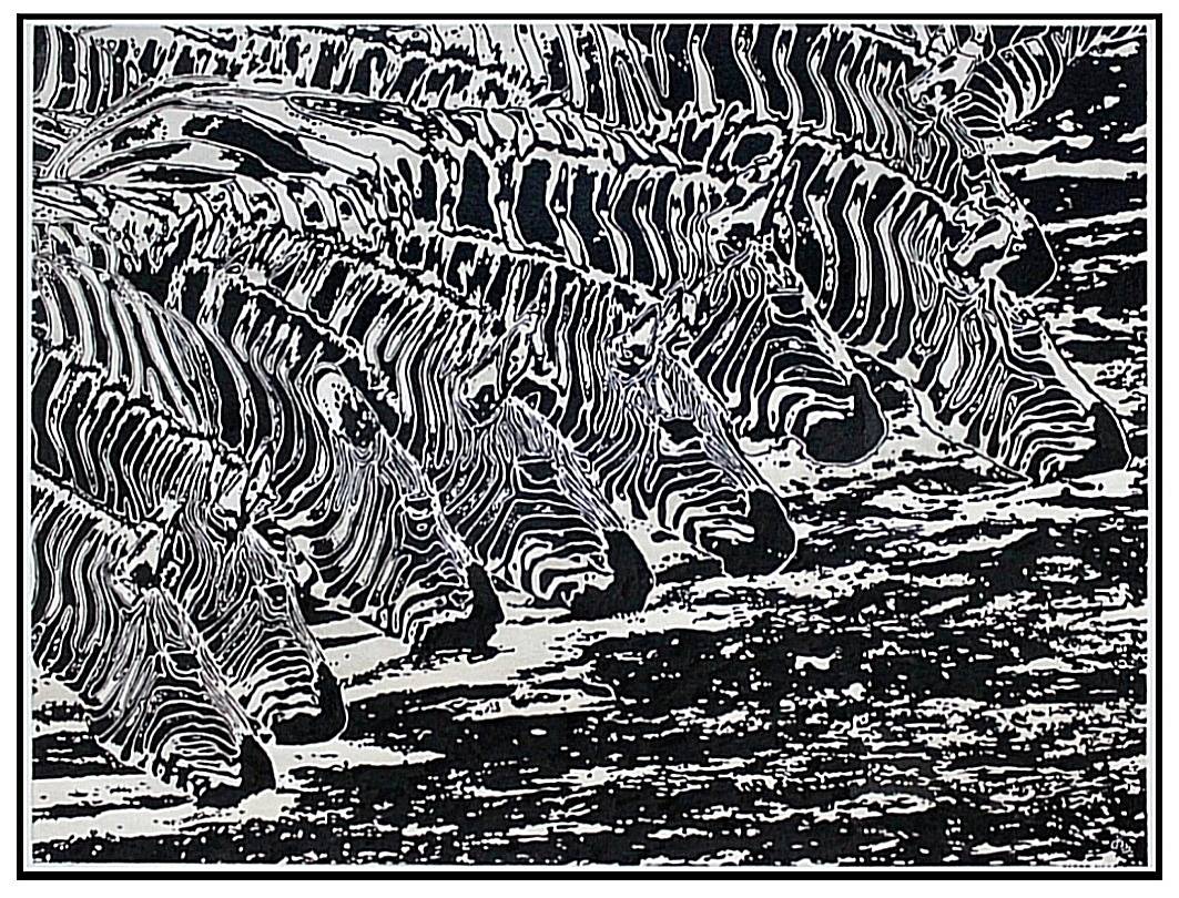 Zebra-Néga. Jeanmidijeanmi