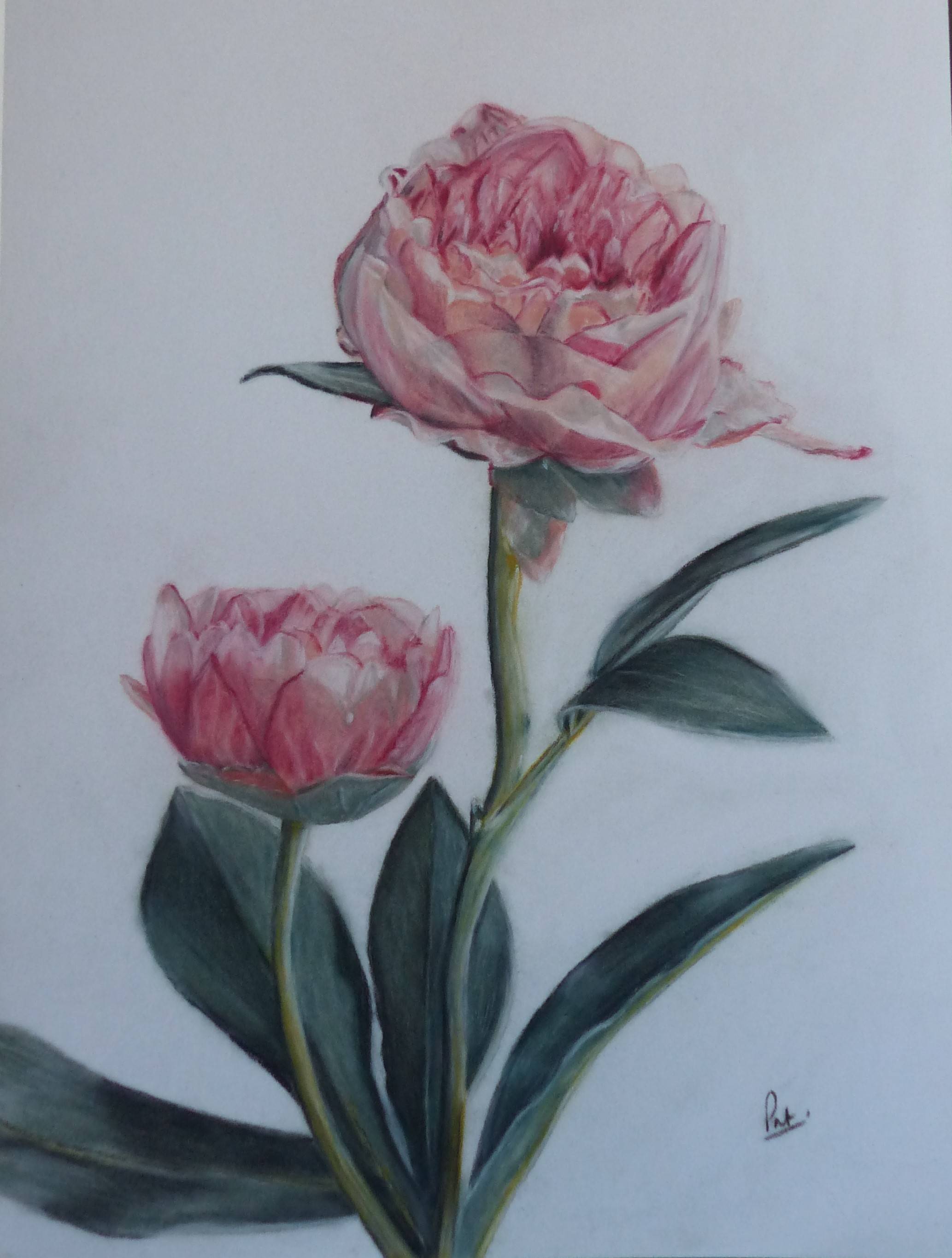 Instant de douceur. Instant Pastel