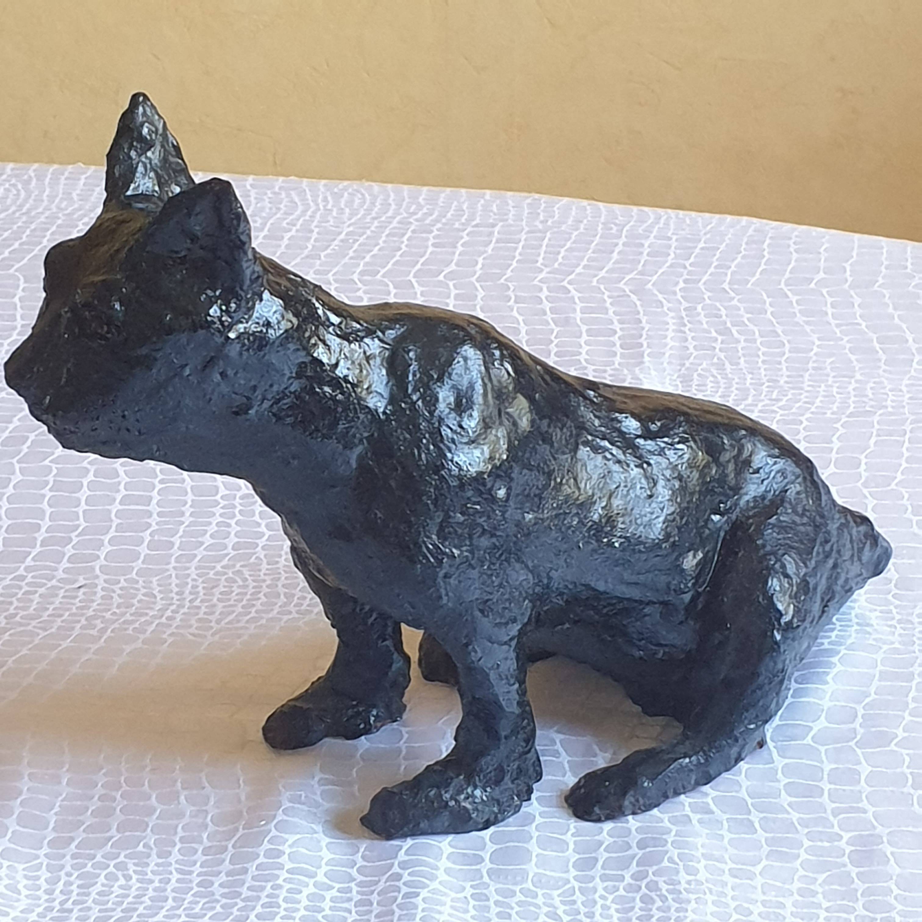 Le Beau Chat Noir. Annie Verdegen
