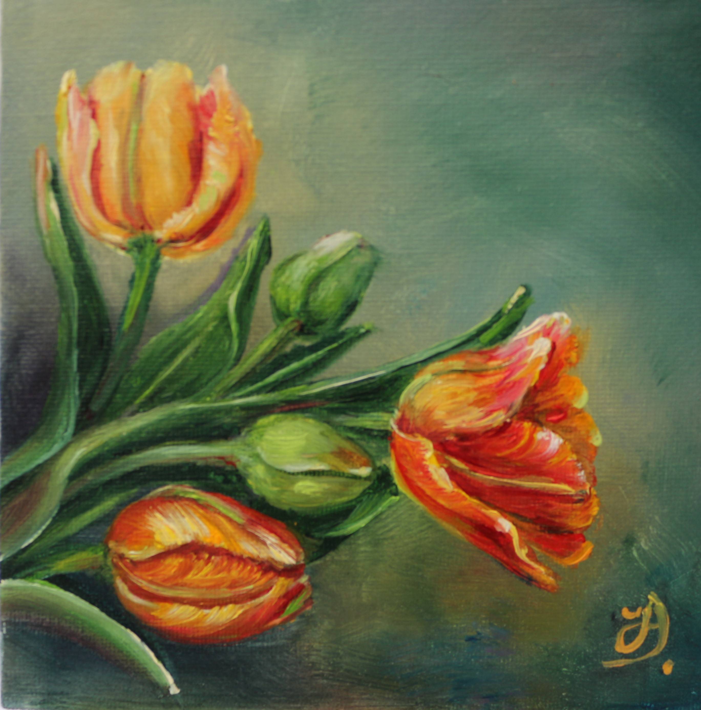 Morning Glow. Daniela Hodea