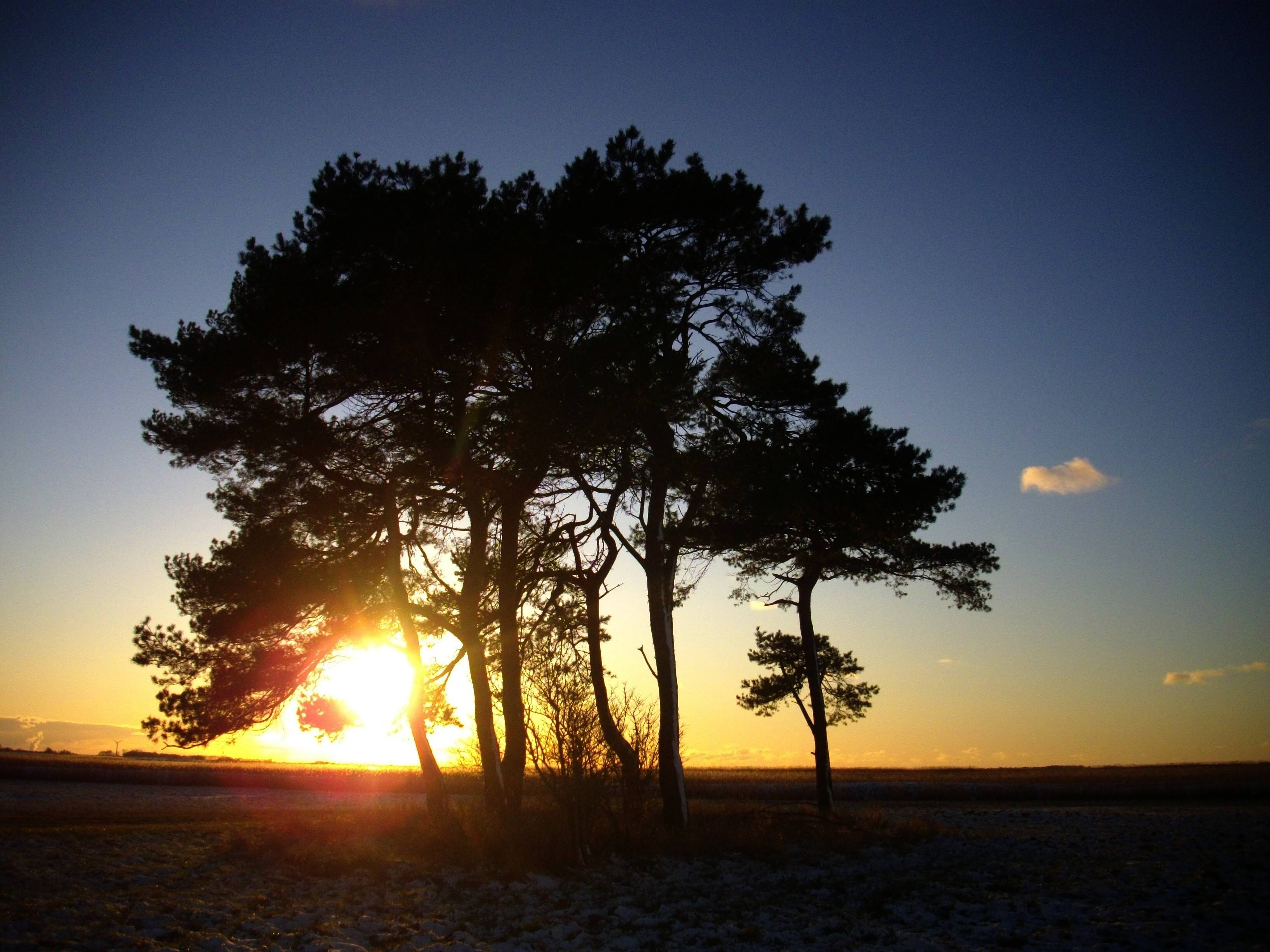 Sonnenuntergang. Carmen Pannek Carmen Pannek