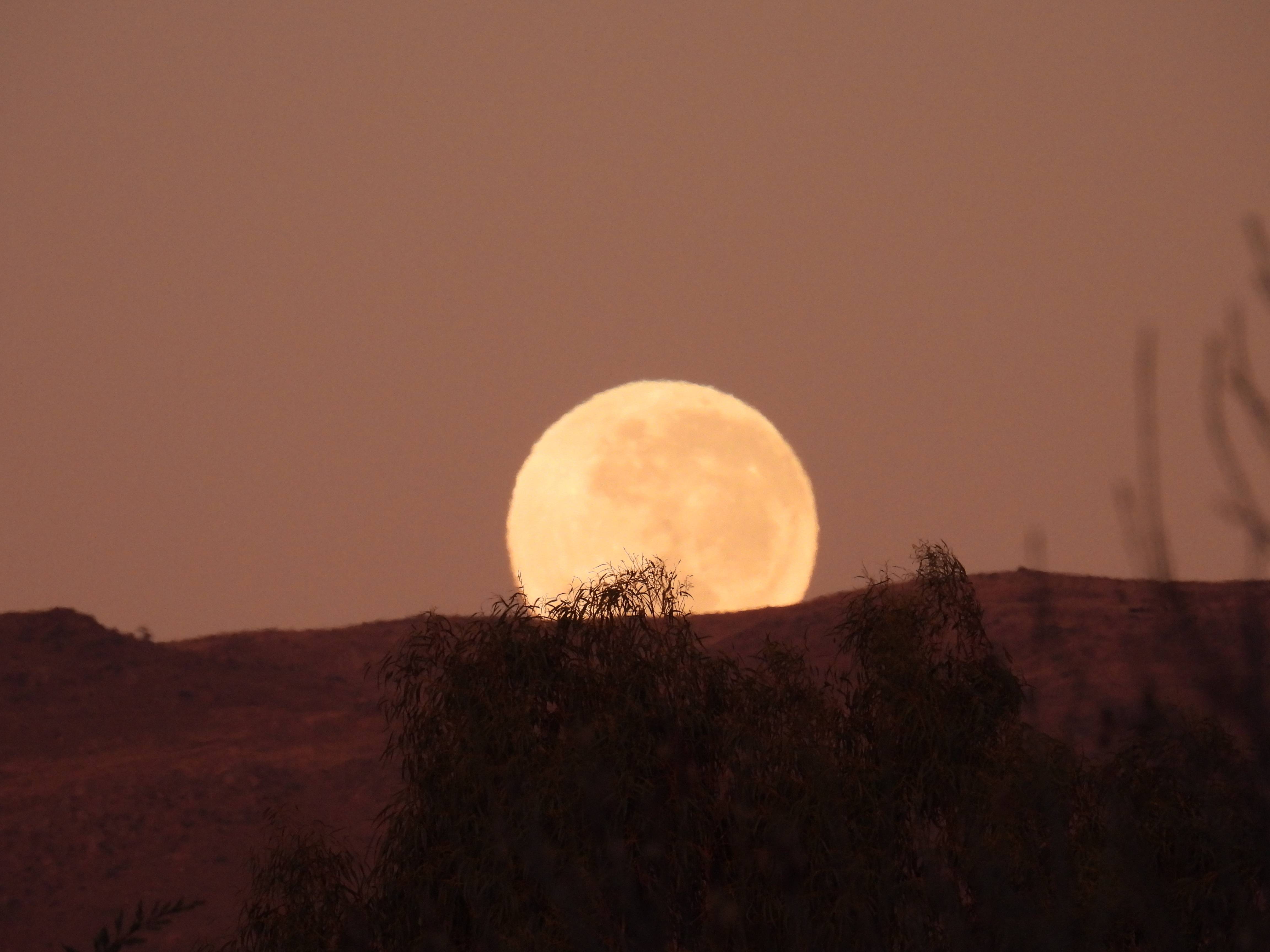 Luna de junio. Mario Ezio Juan De Marchi