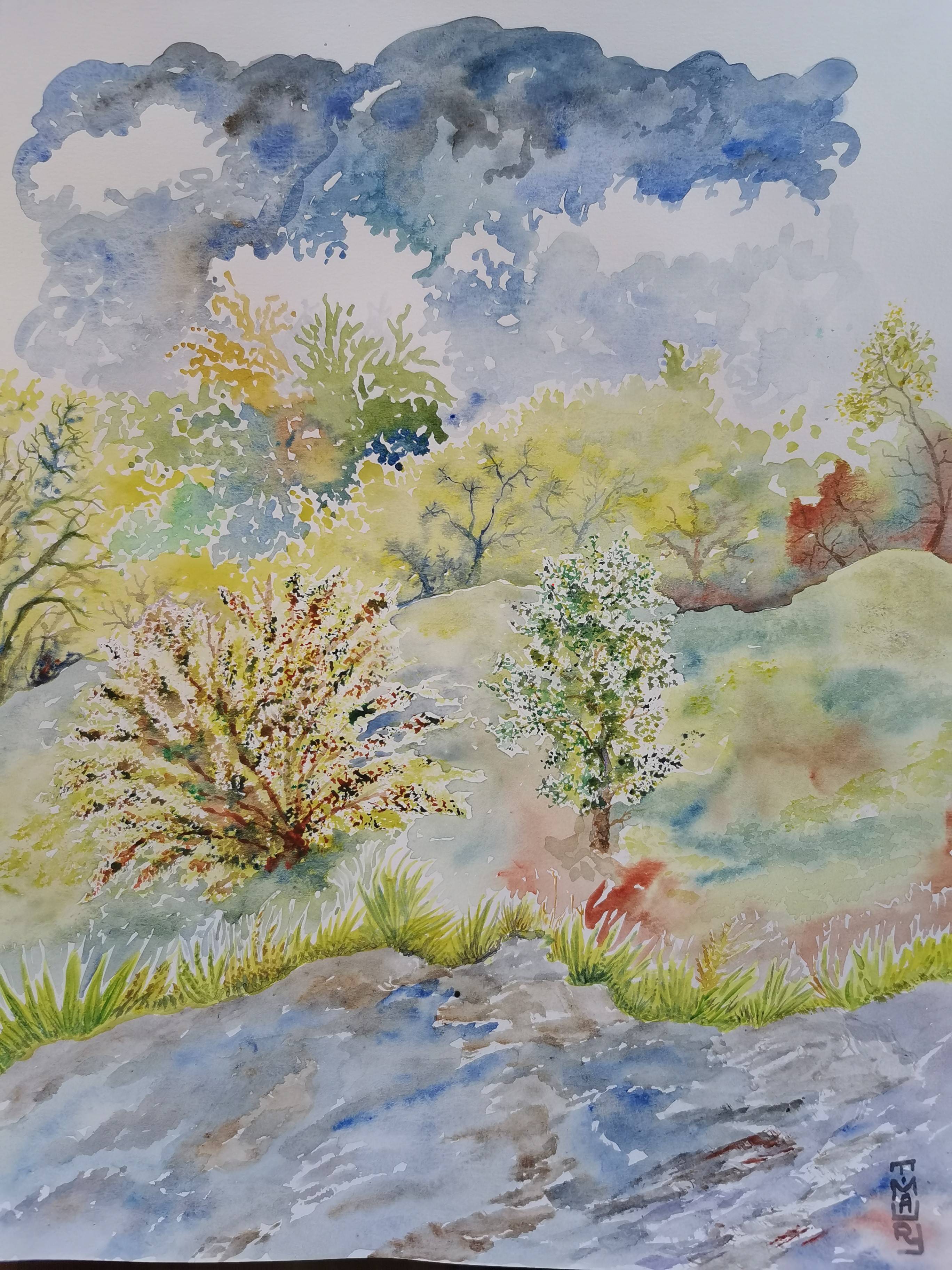 Nature : la fraicheur de l'esprit. Thierry Maury