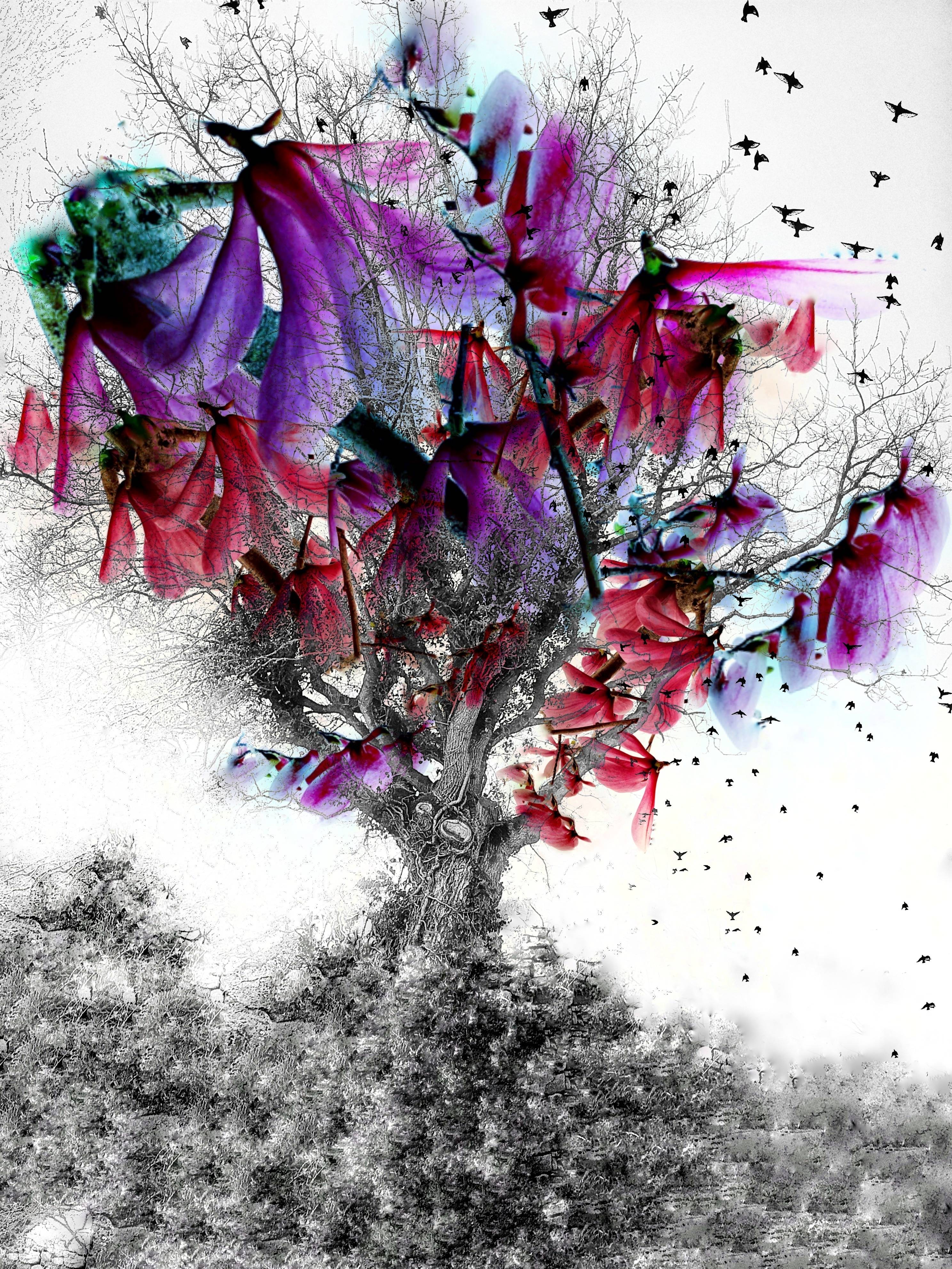 Sur un arbre perchées…. 