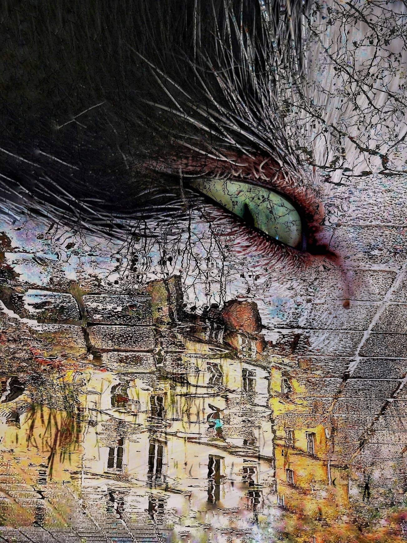L'œil du phénix. 
