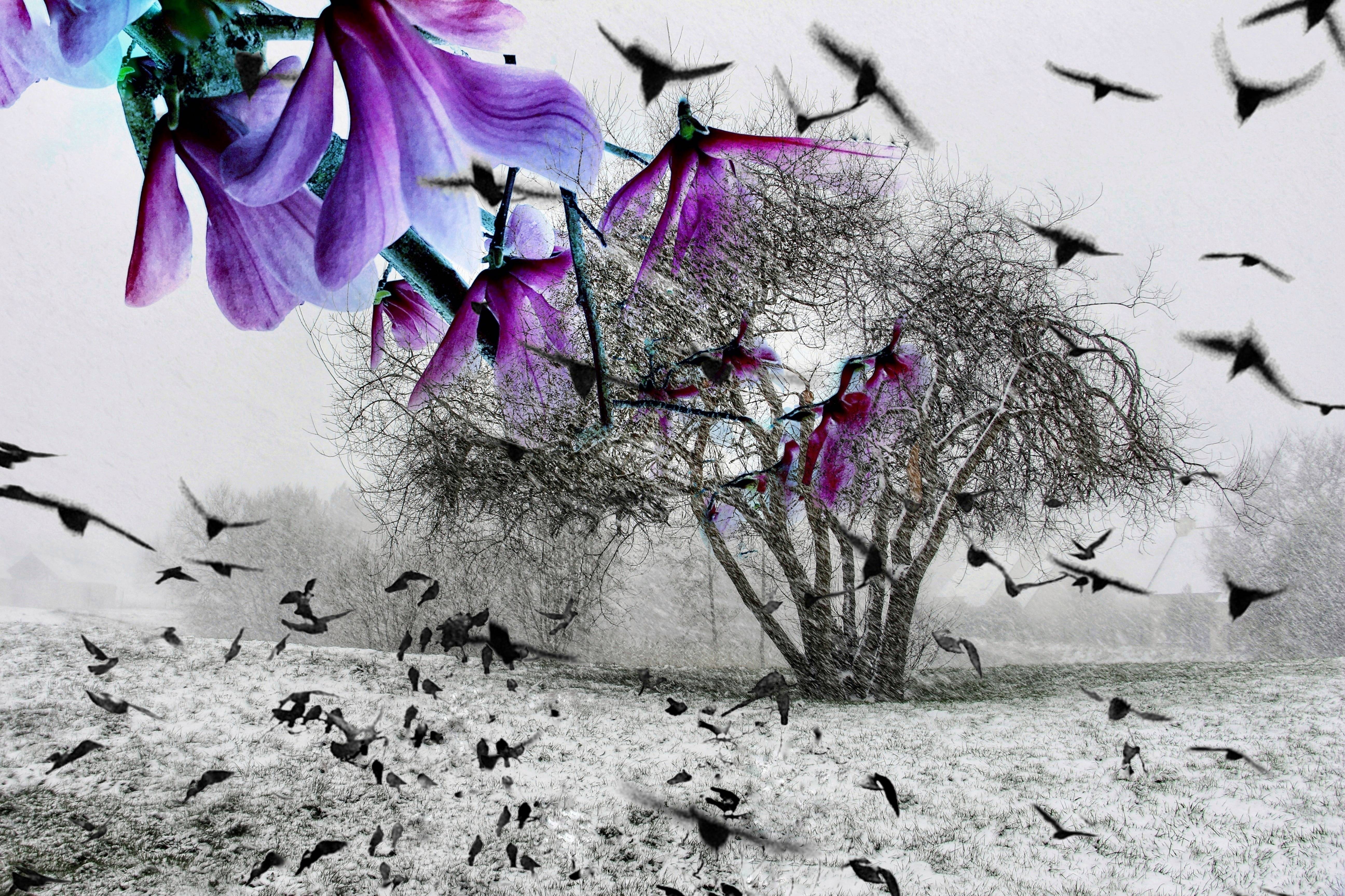 En mauve et gris. Grain De Sandre