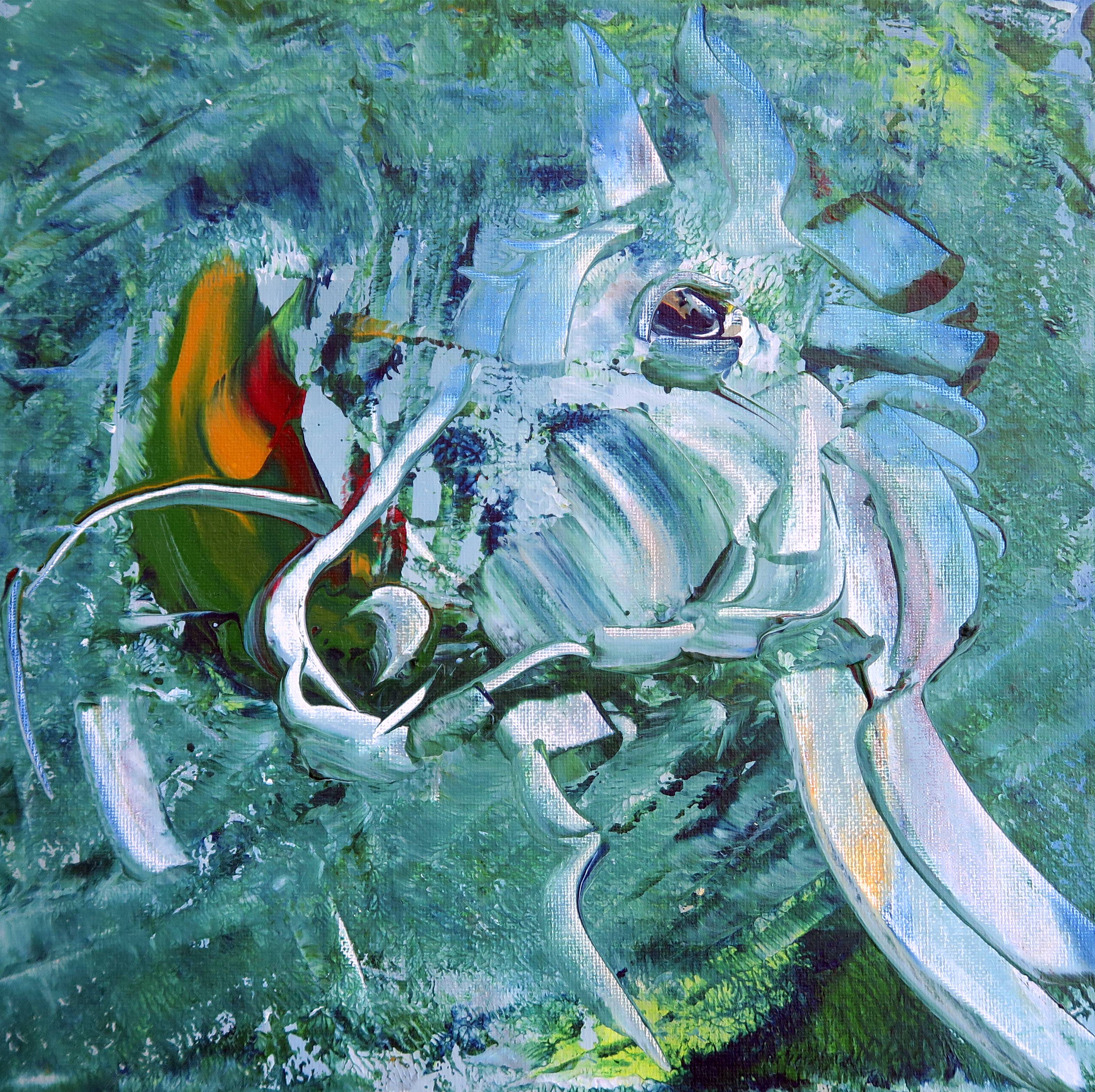 Le cheval rupestre. Domory