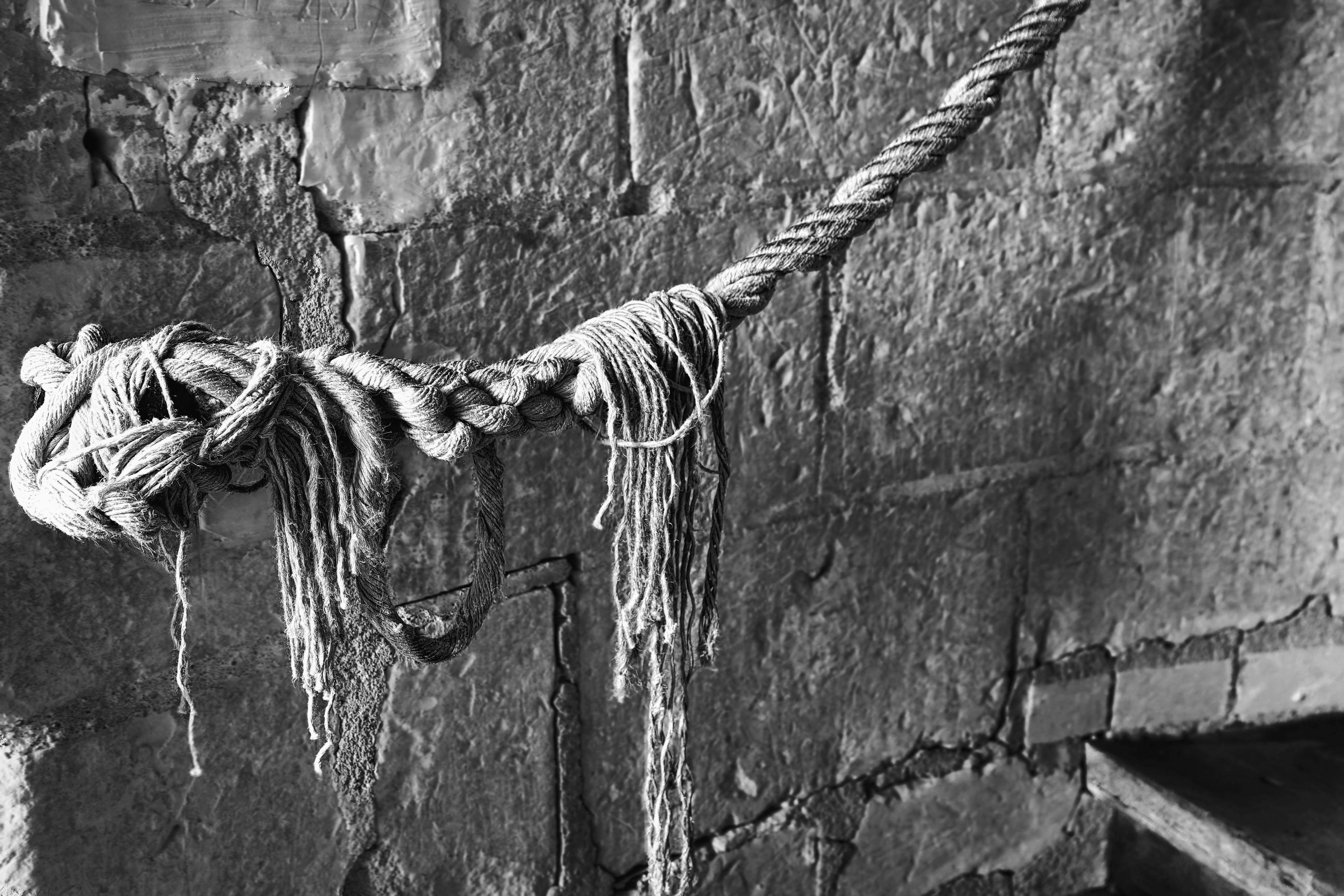Sur la corde rampe. Hervé Hameury