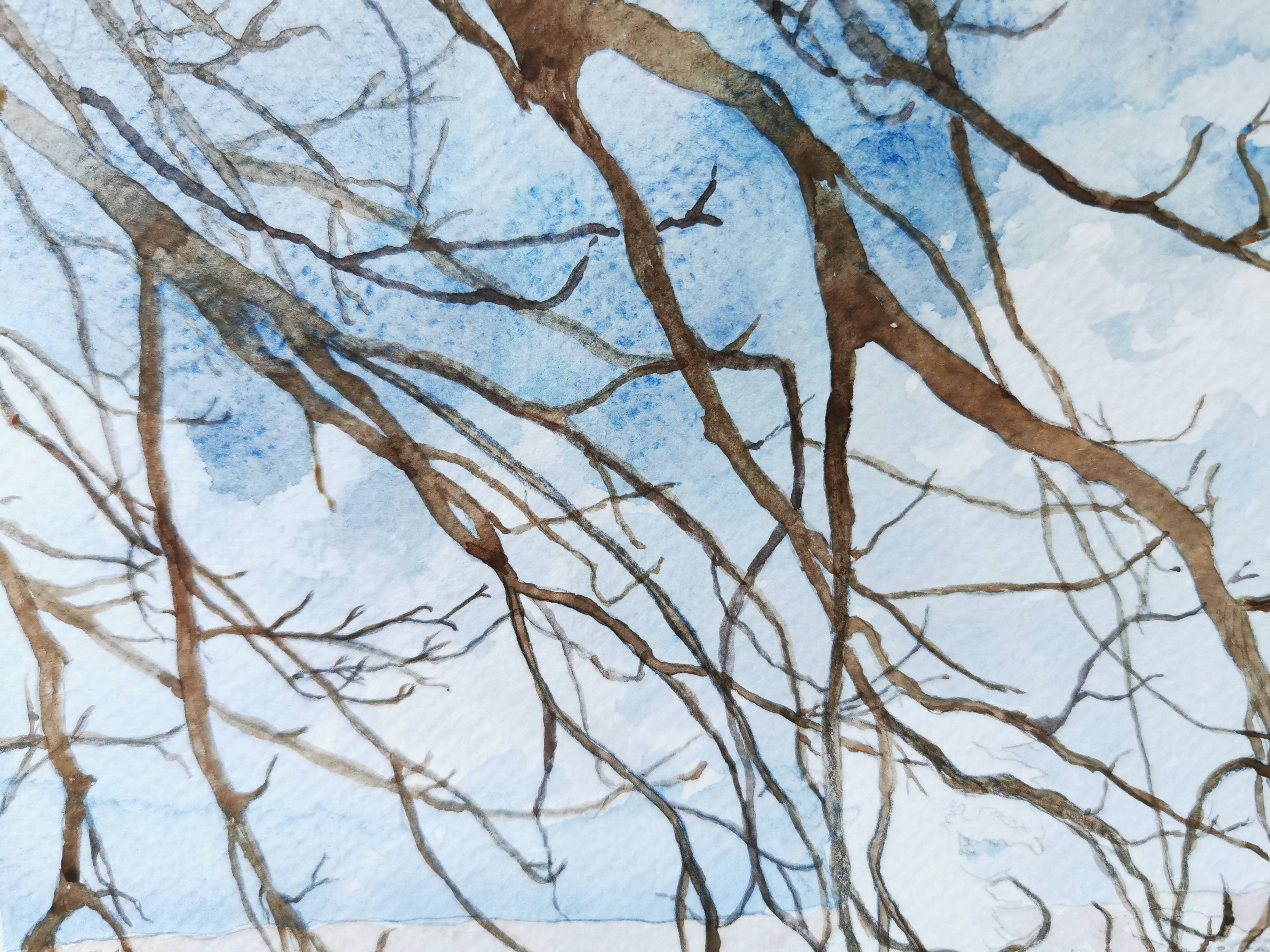 Branches. 