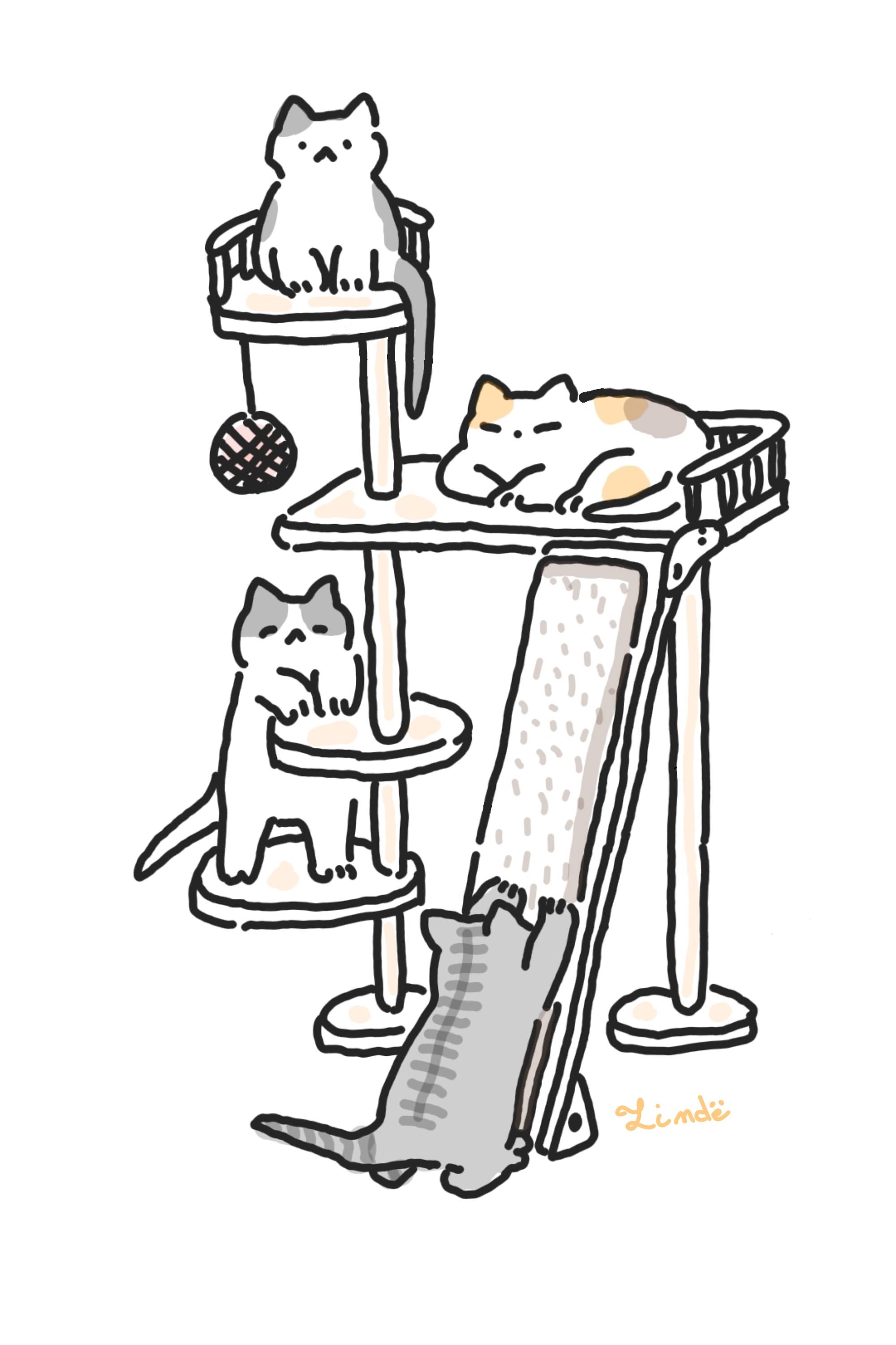 La vie des chats. Tinwē Création