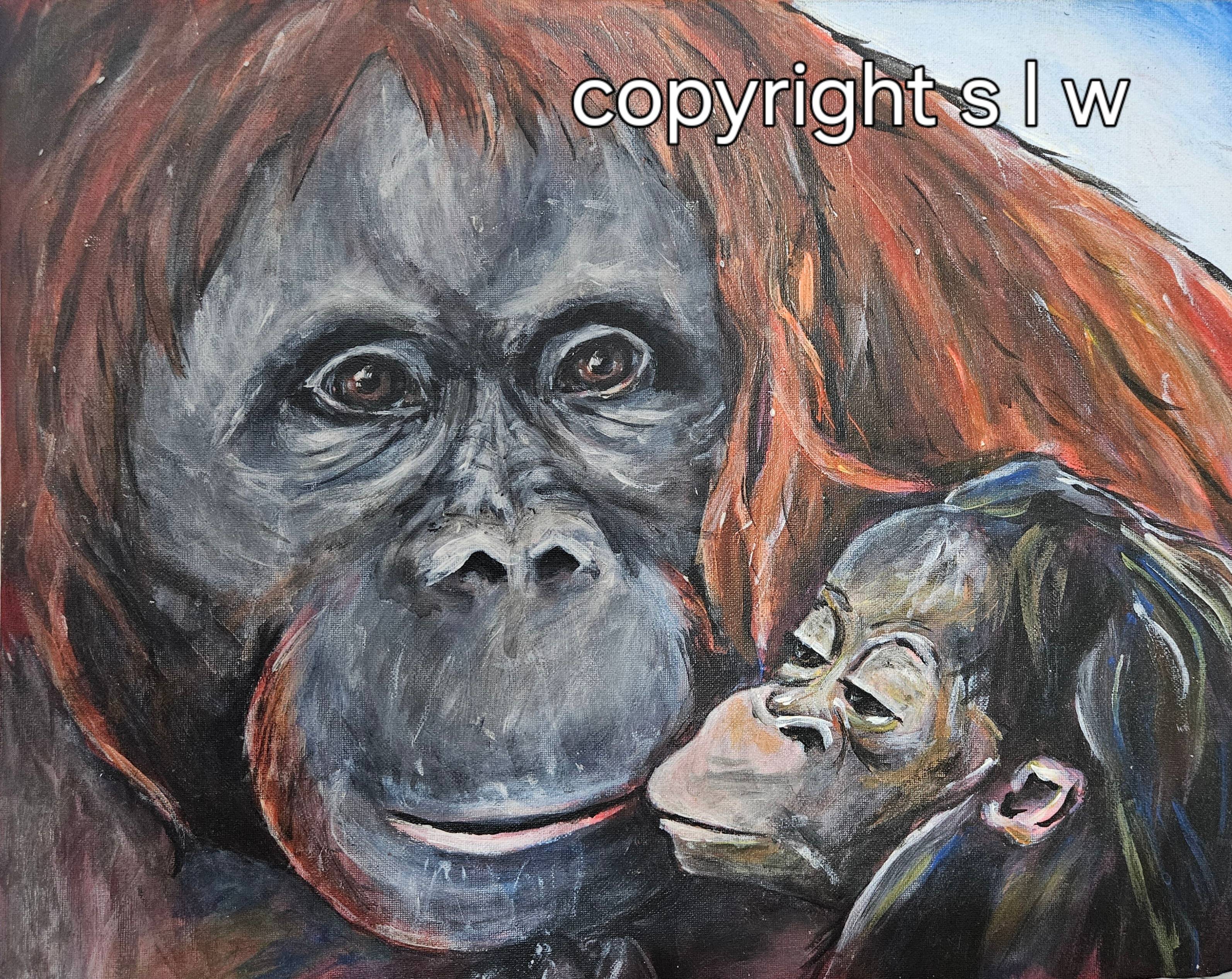 Orangutan and Baby. Sarah W