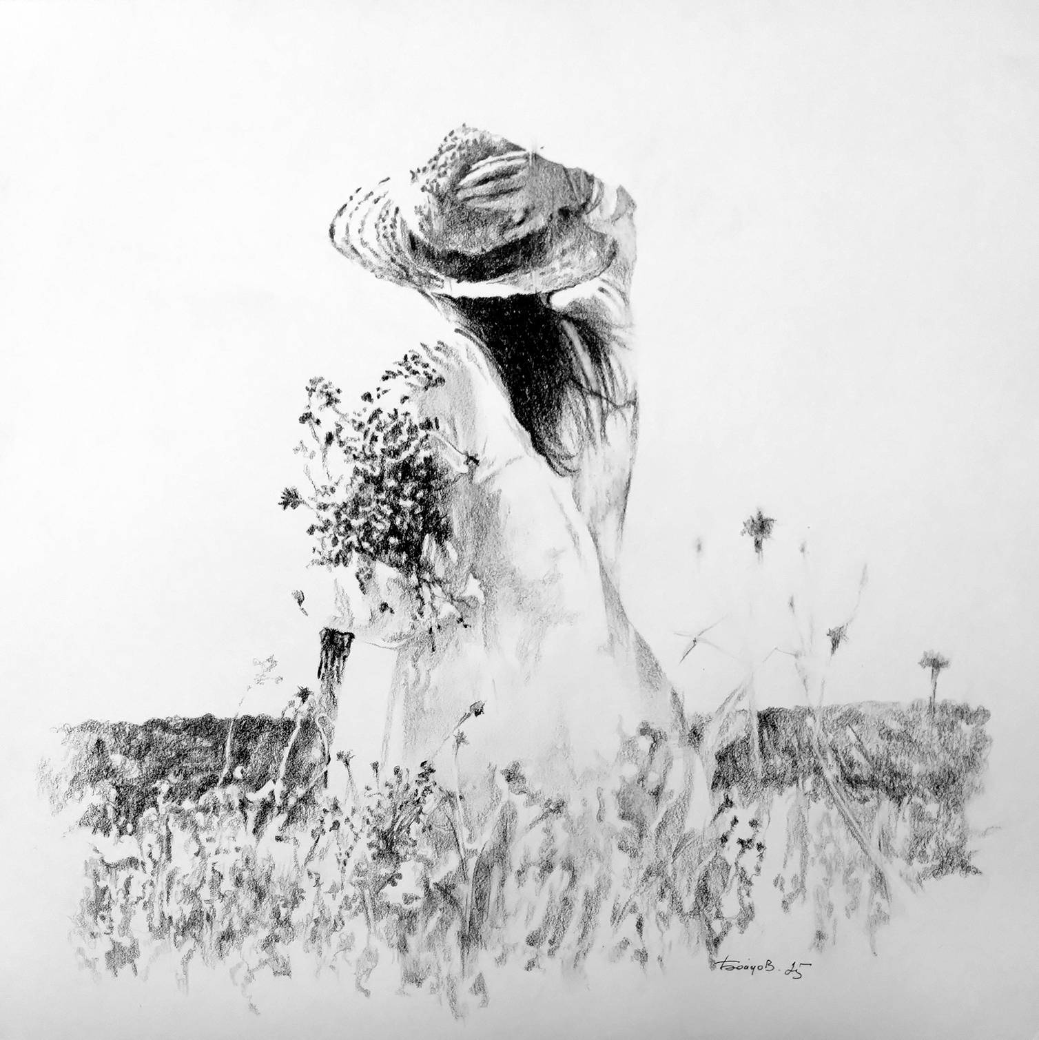 Cornflowers. Boytsov