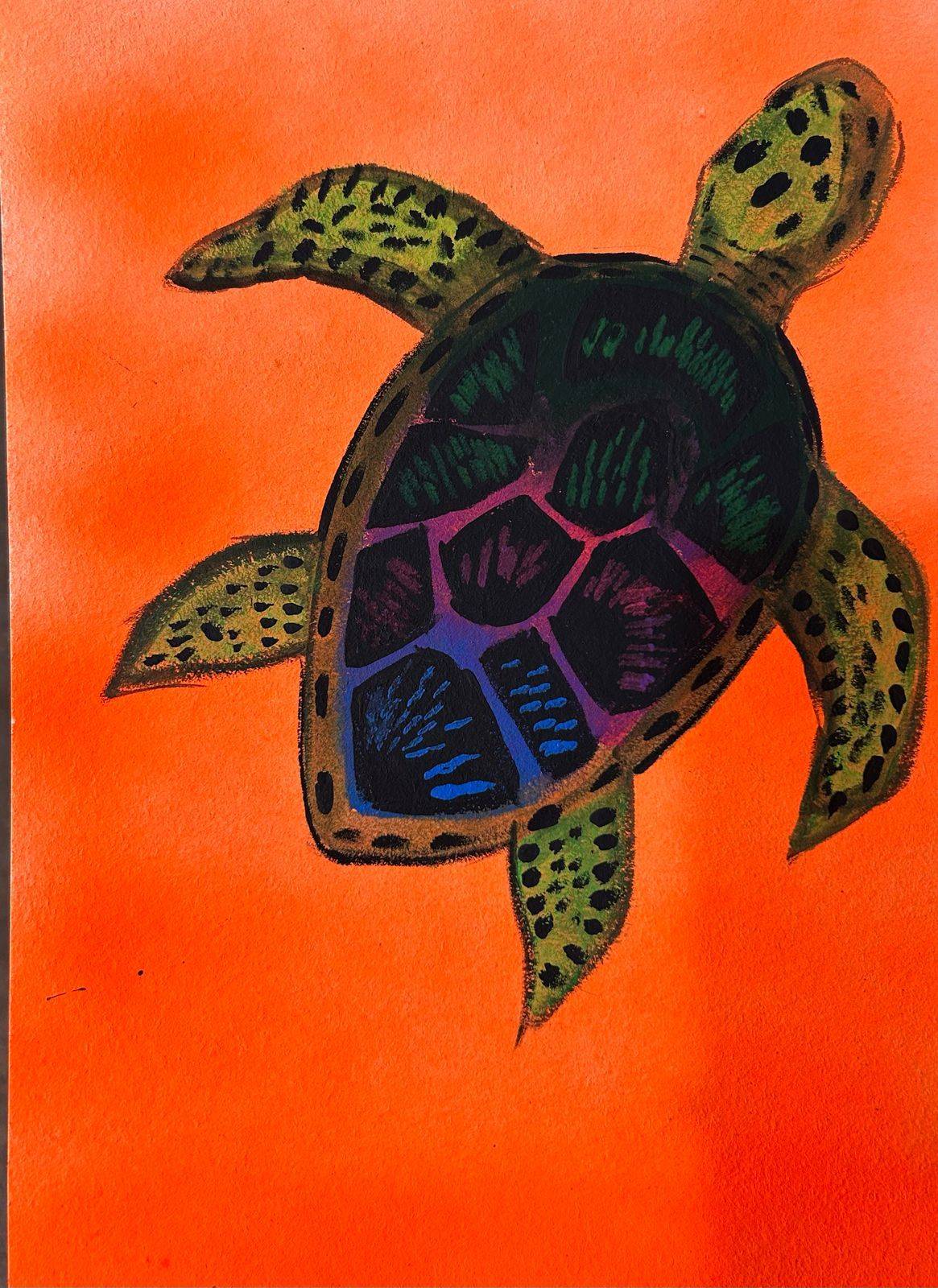 Tortuga de Univalle. Alexandra Maturana