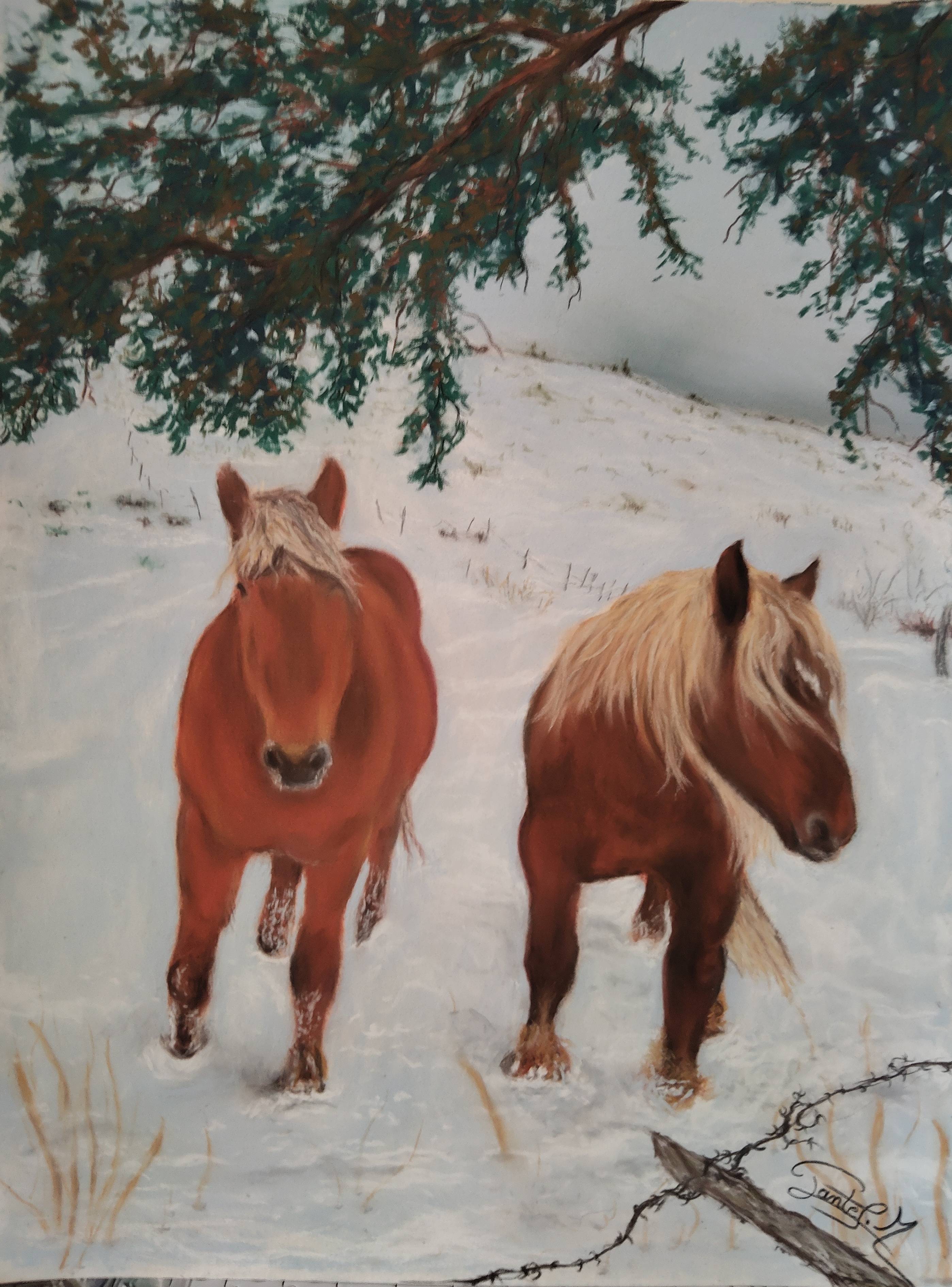 Deux chevaux dans la neige. Lefoubleu