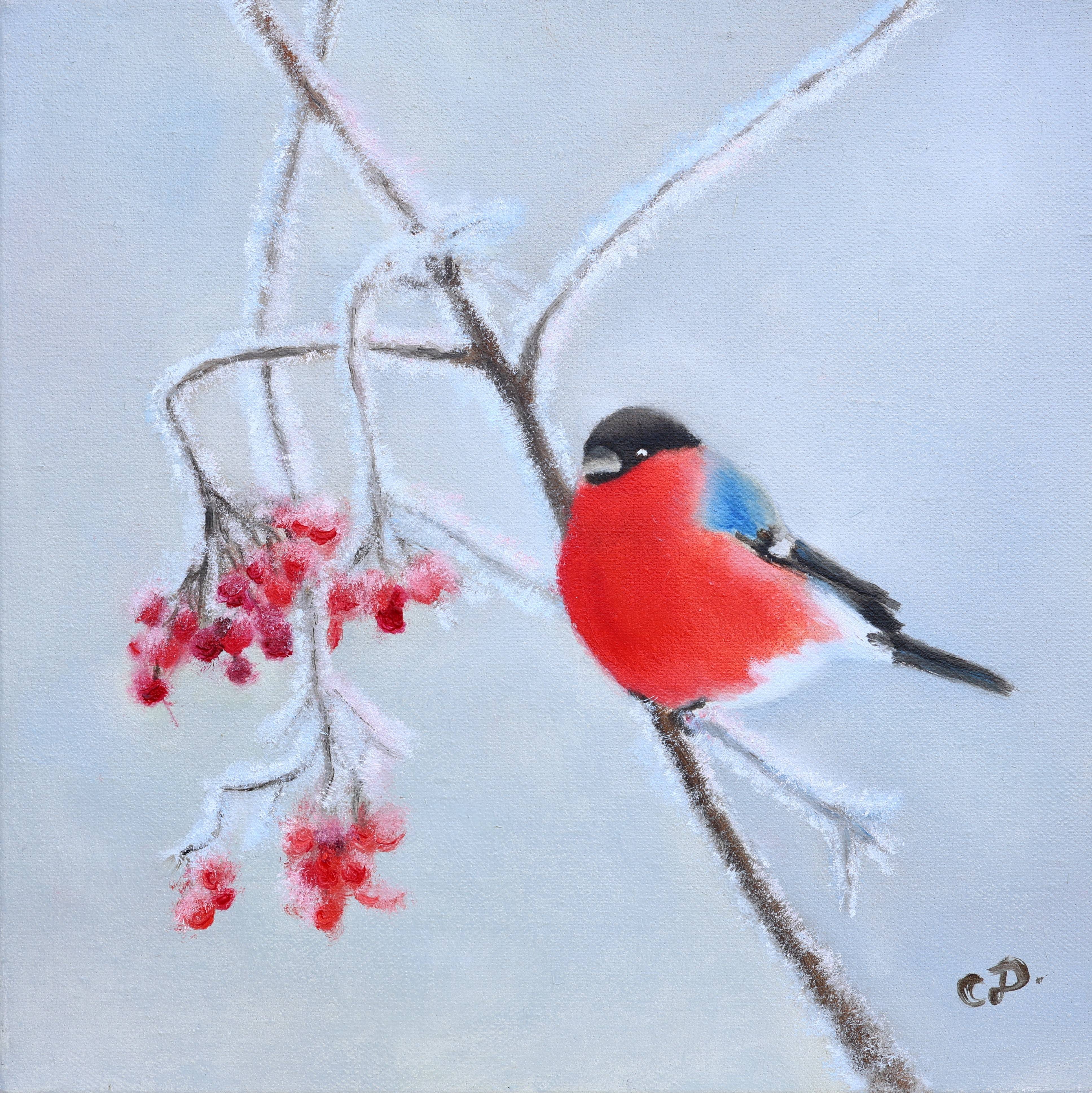 Bullfinch. Svetlana Dorokhina