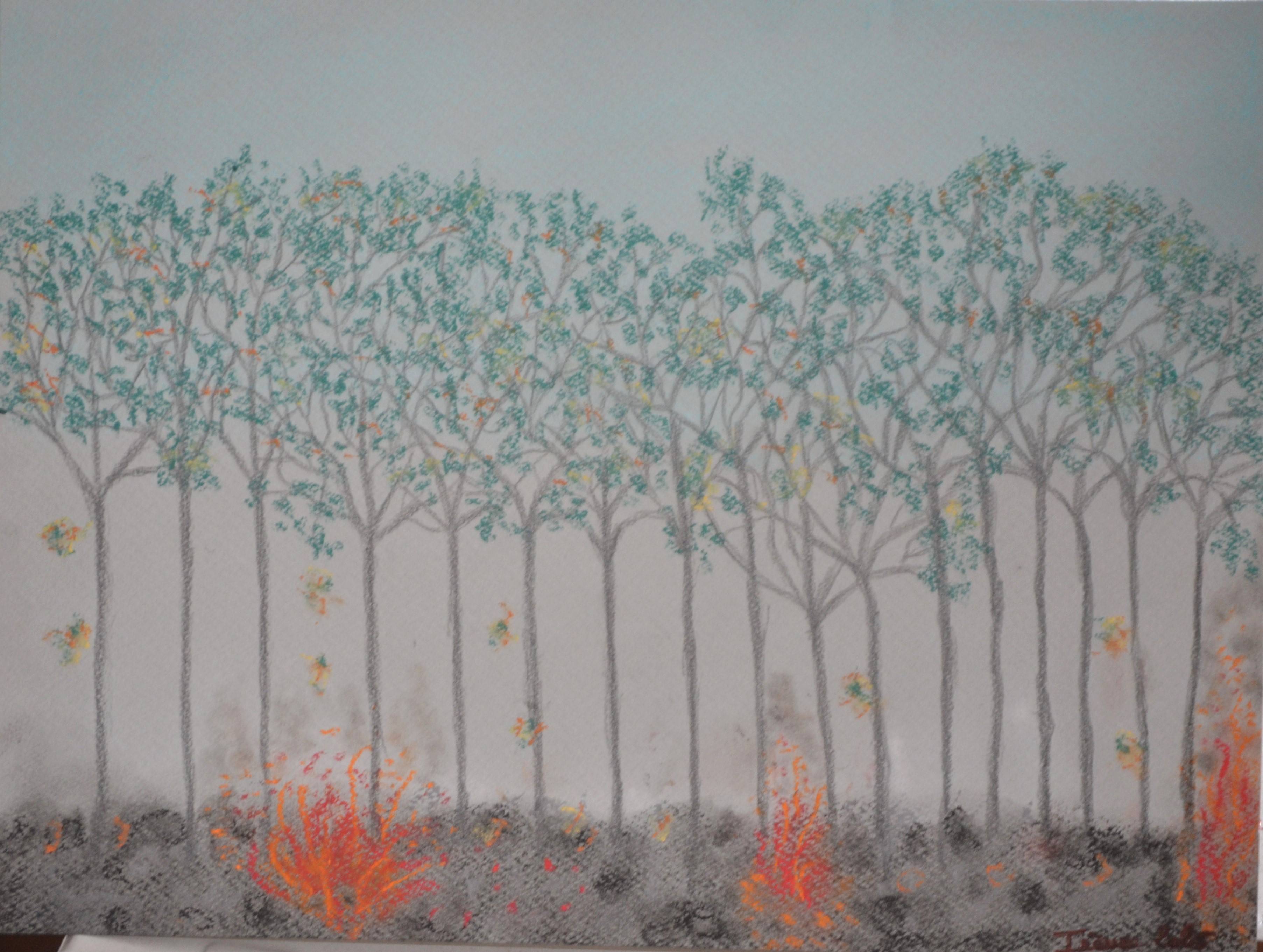 Départ d'incendie 2025. 