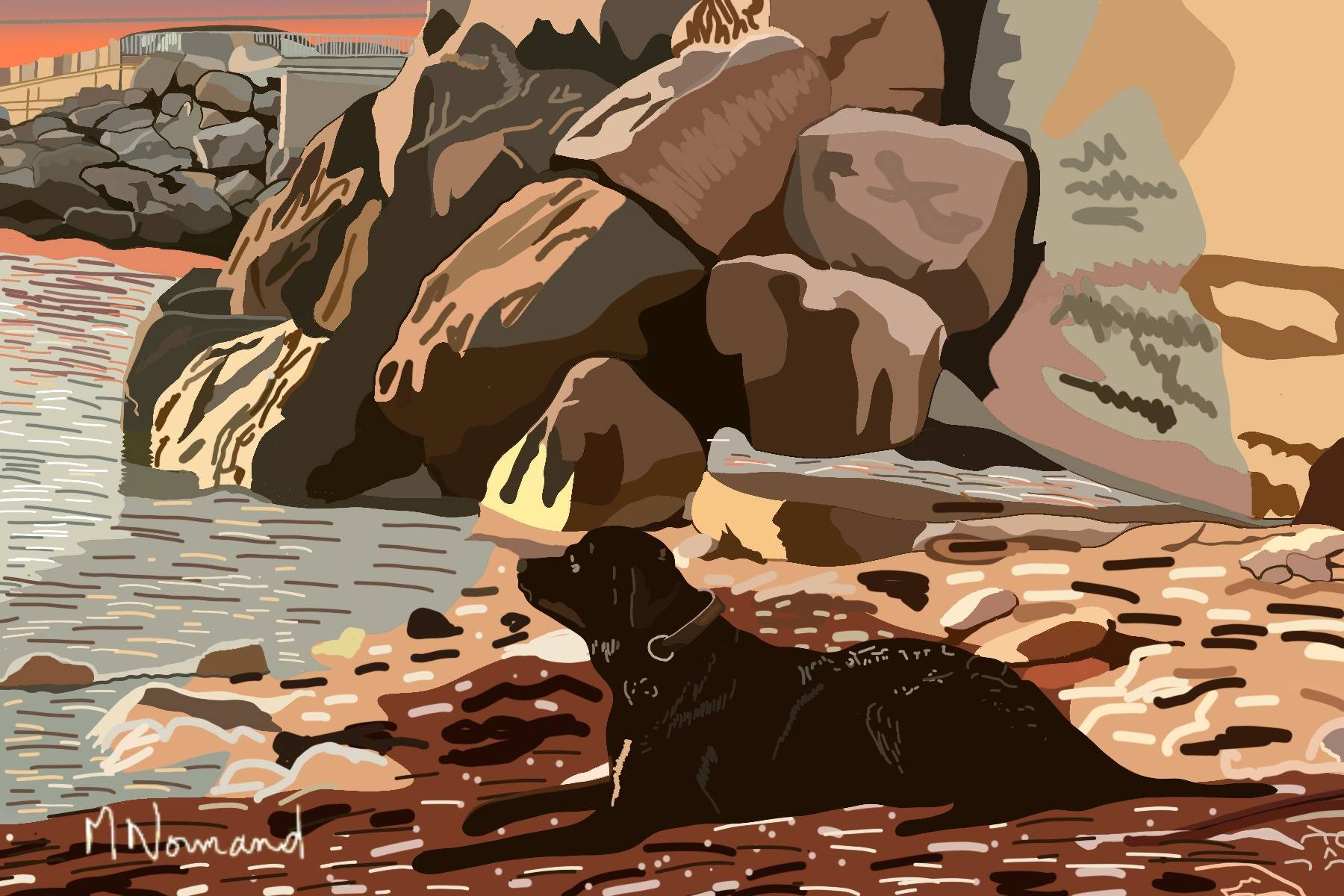 2025-08-14 Marseille-Soleil couchant sur la calanque-Aïli chienne Roth de Maïlys. 