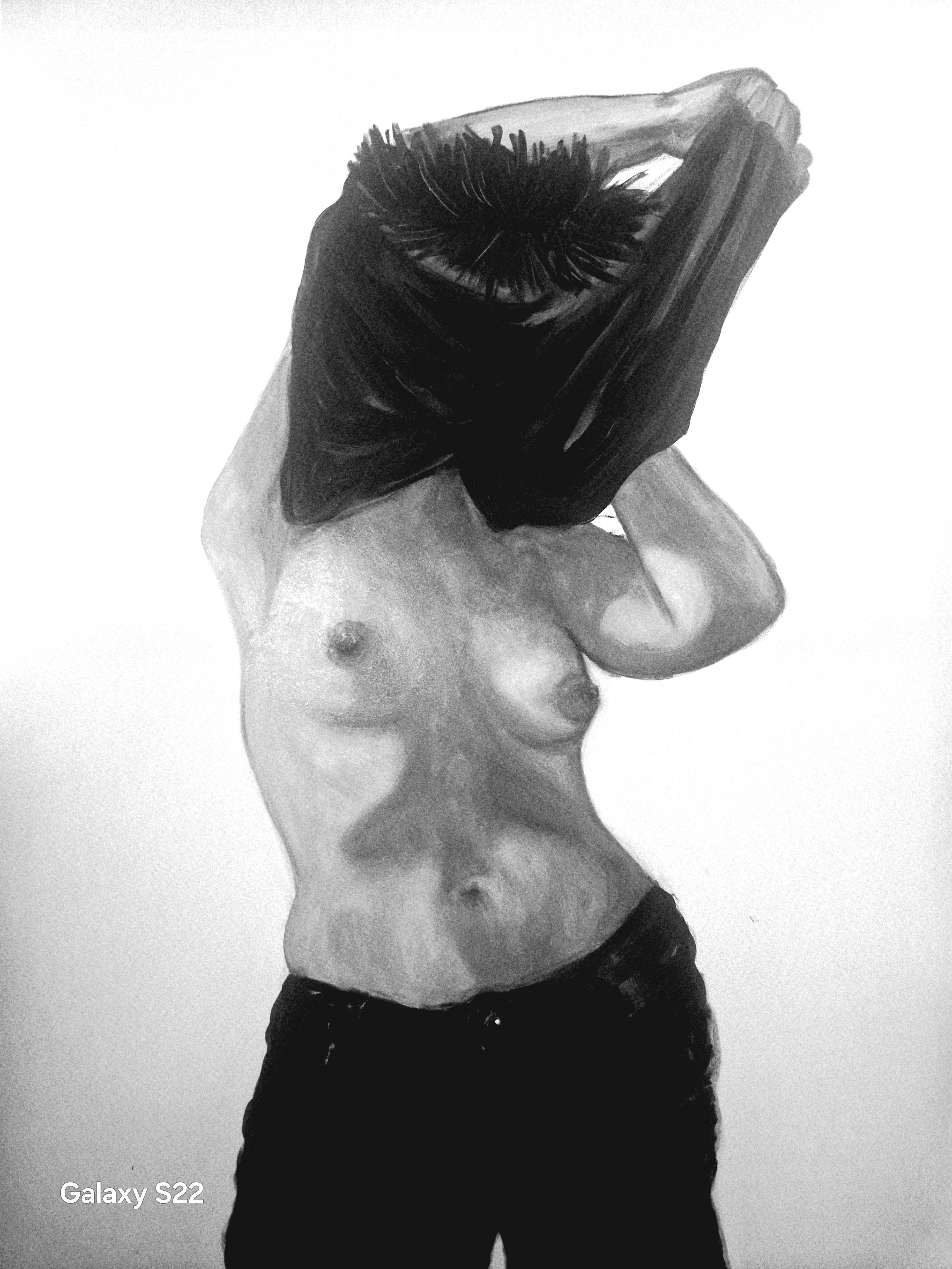 Ekphrasis «Le dévoilement par le portrait ». Selleret Frédéric