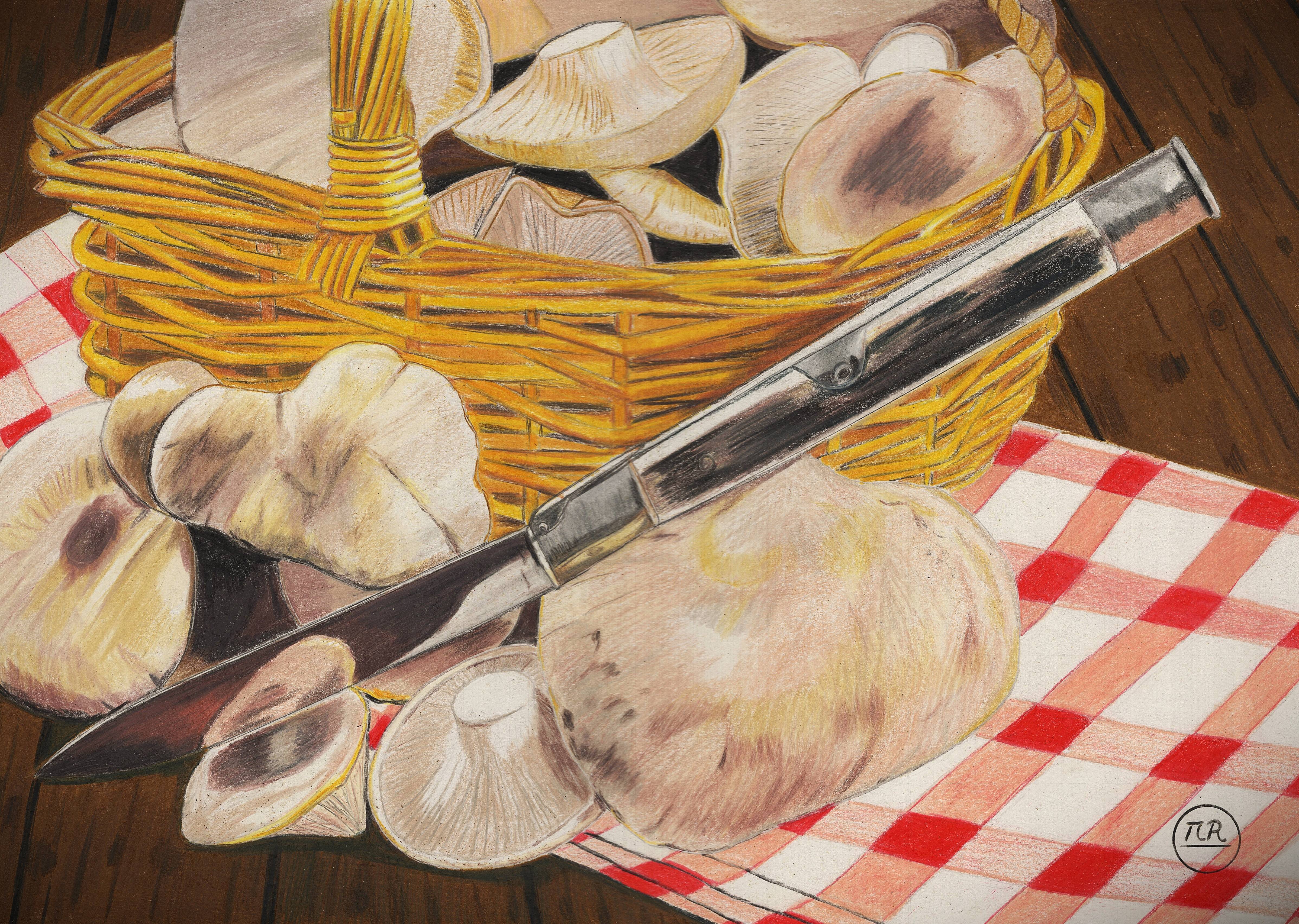 Récolte de champignons. 