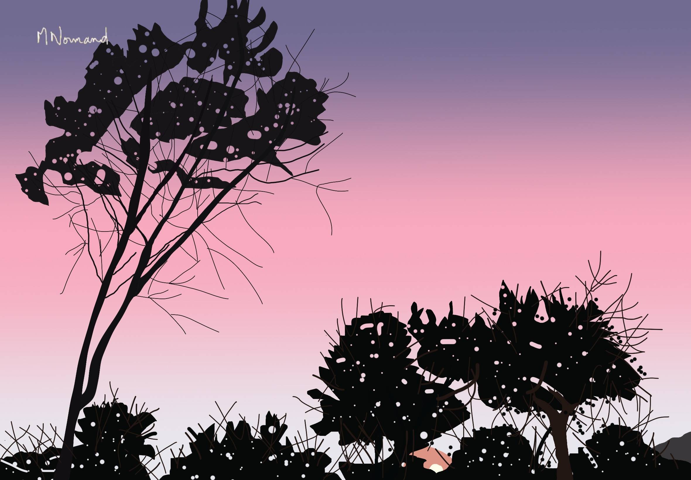 2025-09-25 Coucher de soleil sur Valescure Le Jardin de Michèle. 