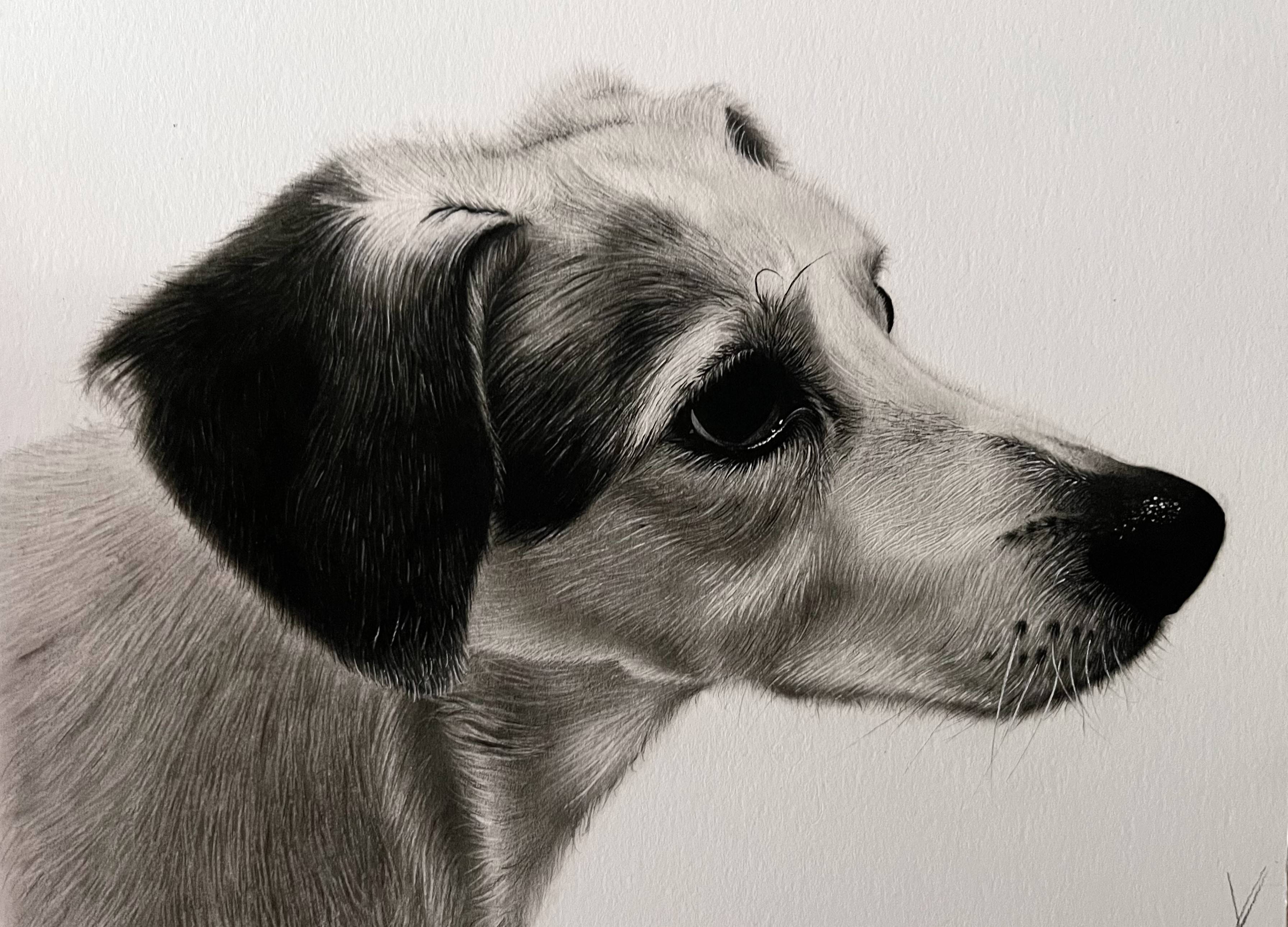 Daga. Chiki Art Drawings