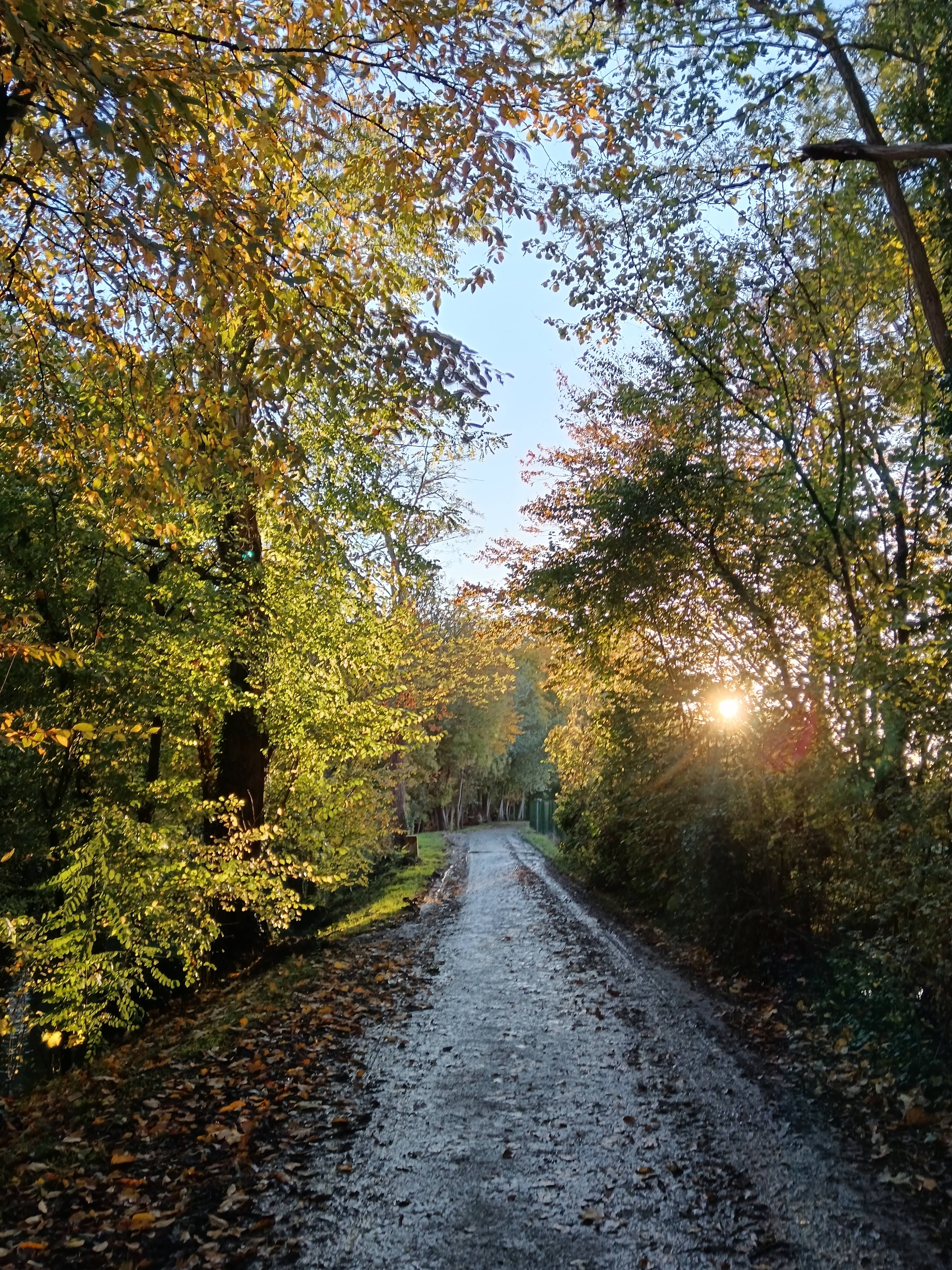 L'arche de doré.. Wallace Waide