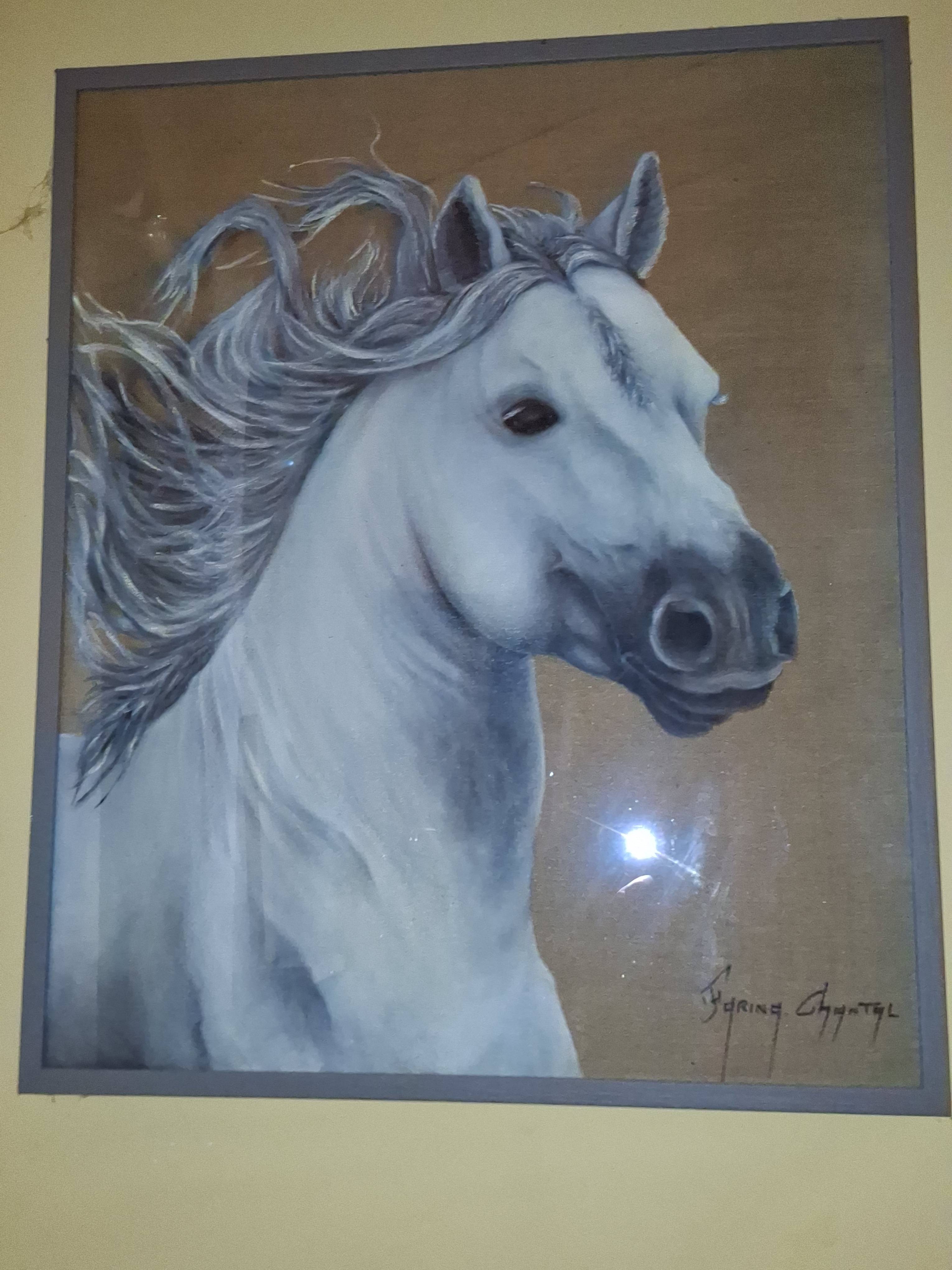 Inconnu. Gwendoline Michel