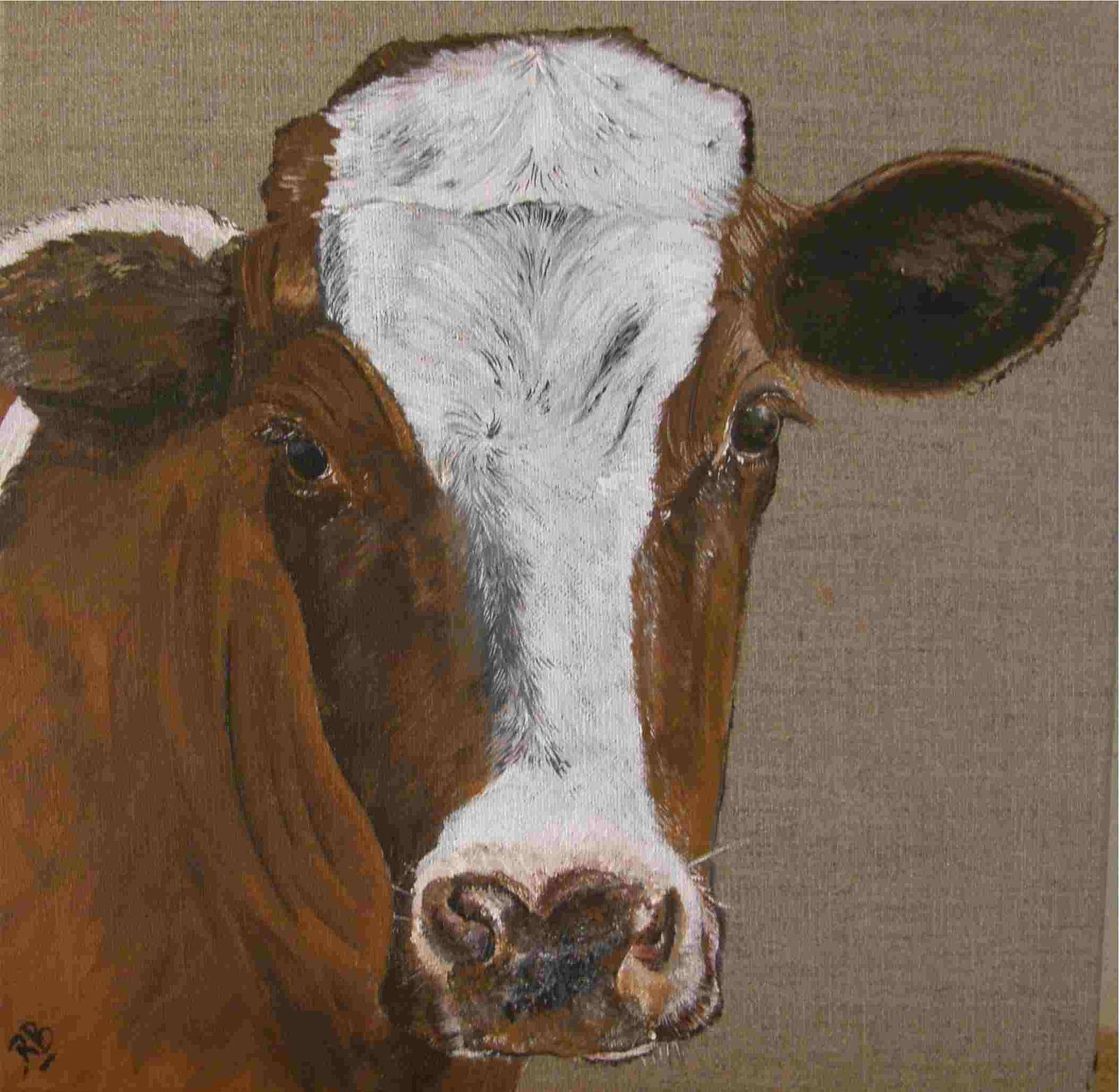 Looking Cow. 