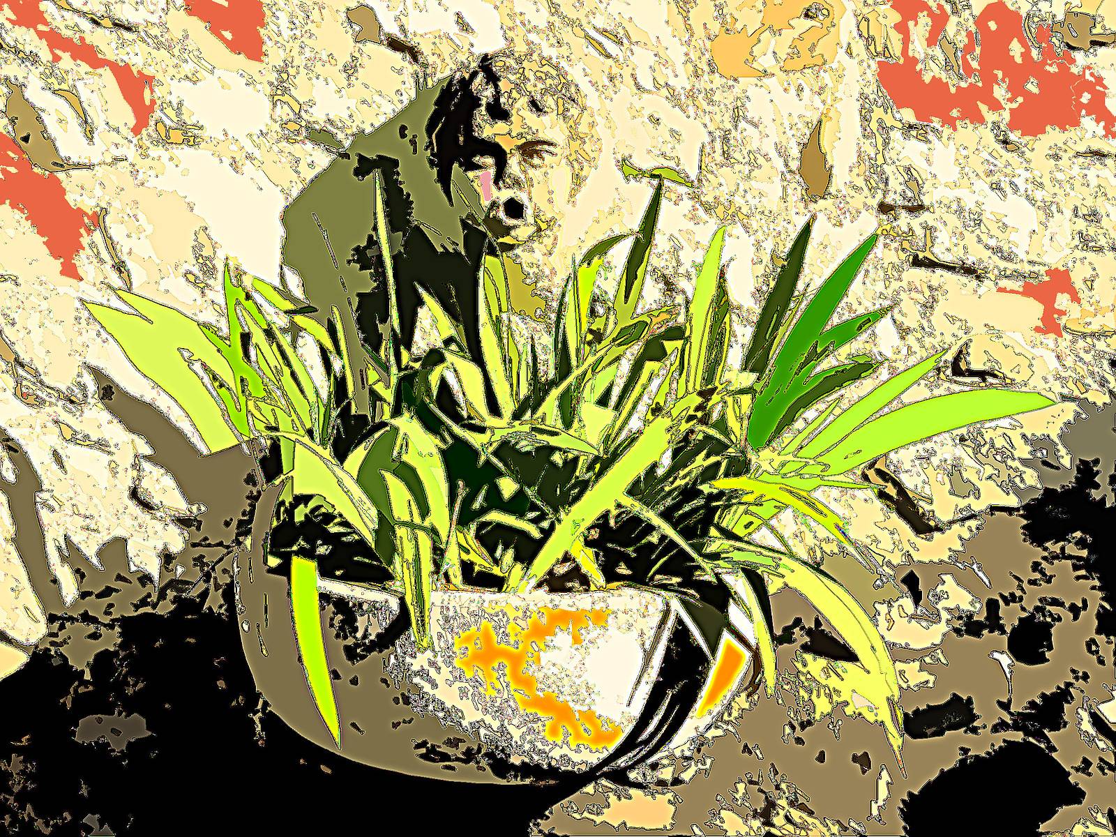 Cauldron Montpezat. 