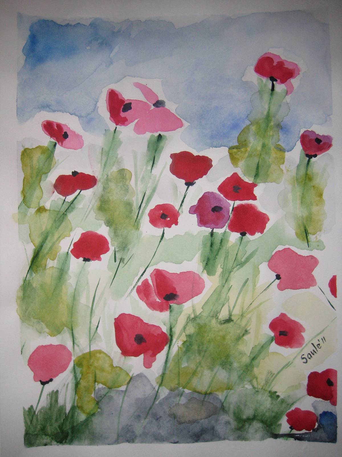 Flowers in the field. Saule Saule Abdramanova