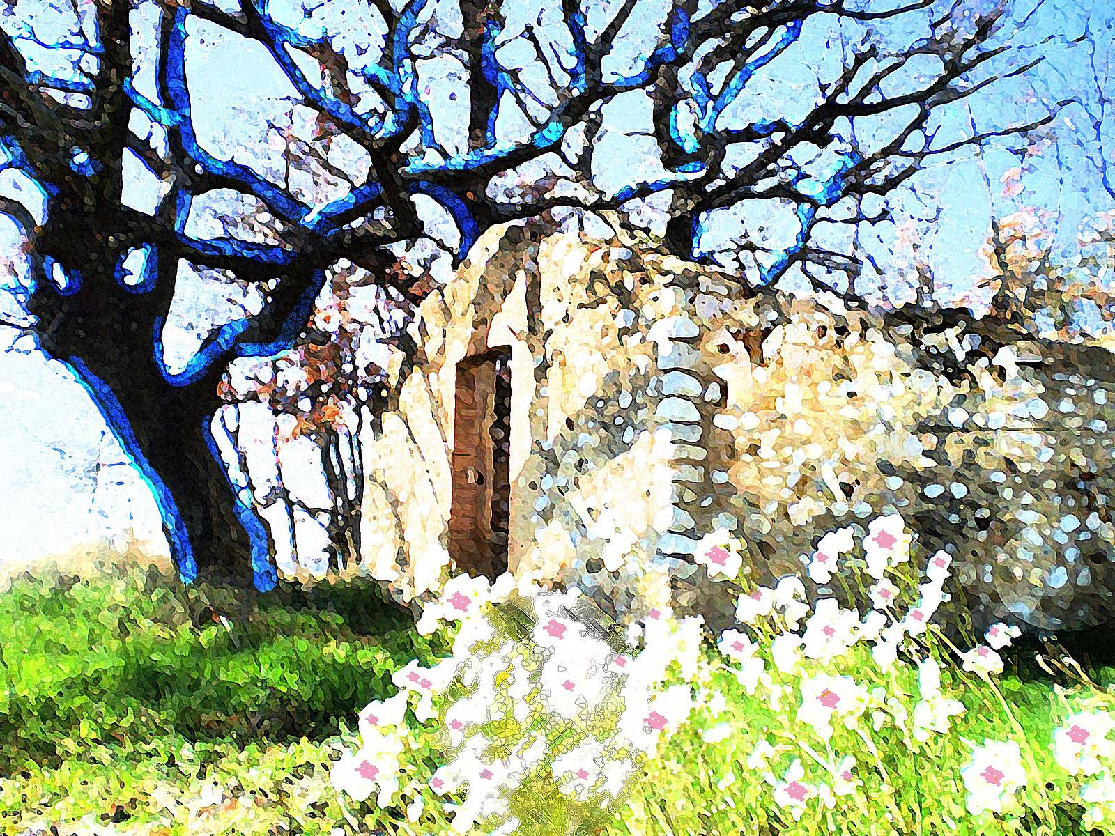 La hermosa cabaña en ruinas. Mc-Bipp