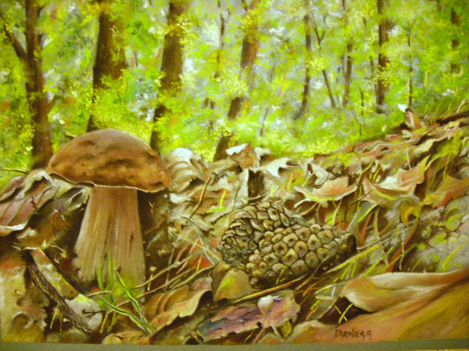 Le champignon solitaire. André Farnier