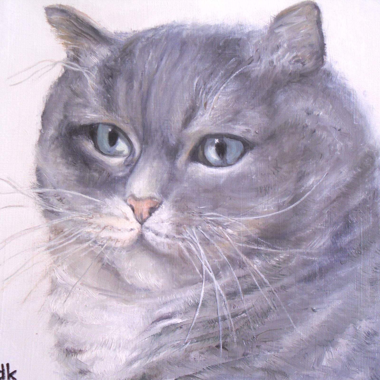 My kitten Zoe. Diana Kemeny Diana. K