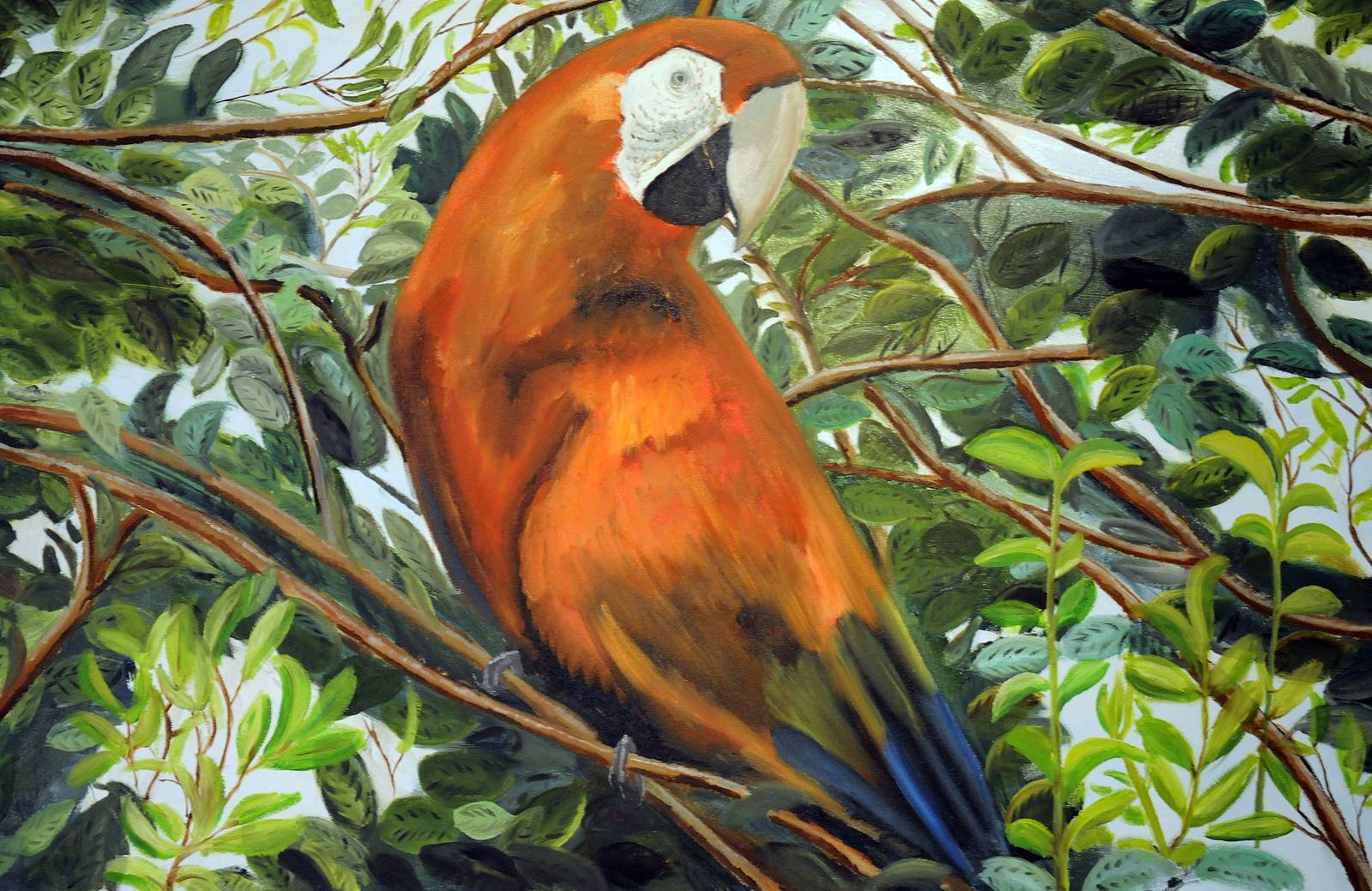 Parrot. Beautiful exotic bird with vibrant plumage.. 