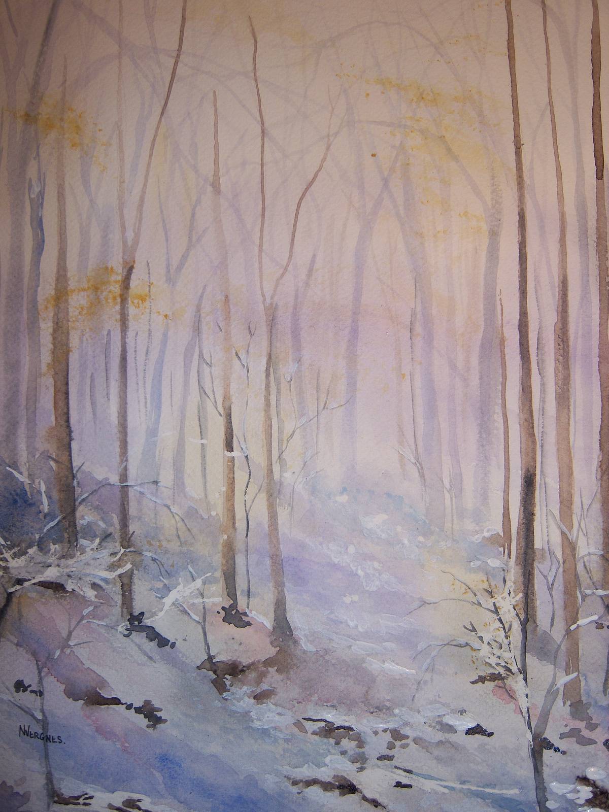 Undergrowth snowy purple shade.. 