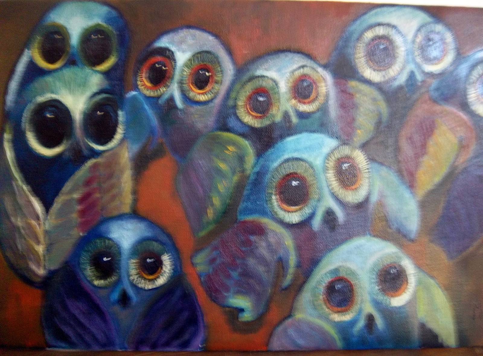 Many owls. Daniele Morganti