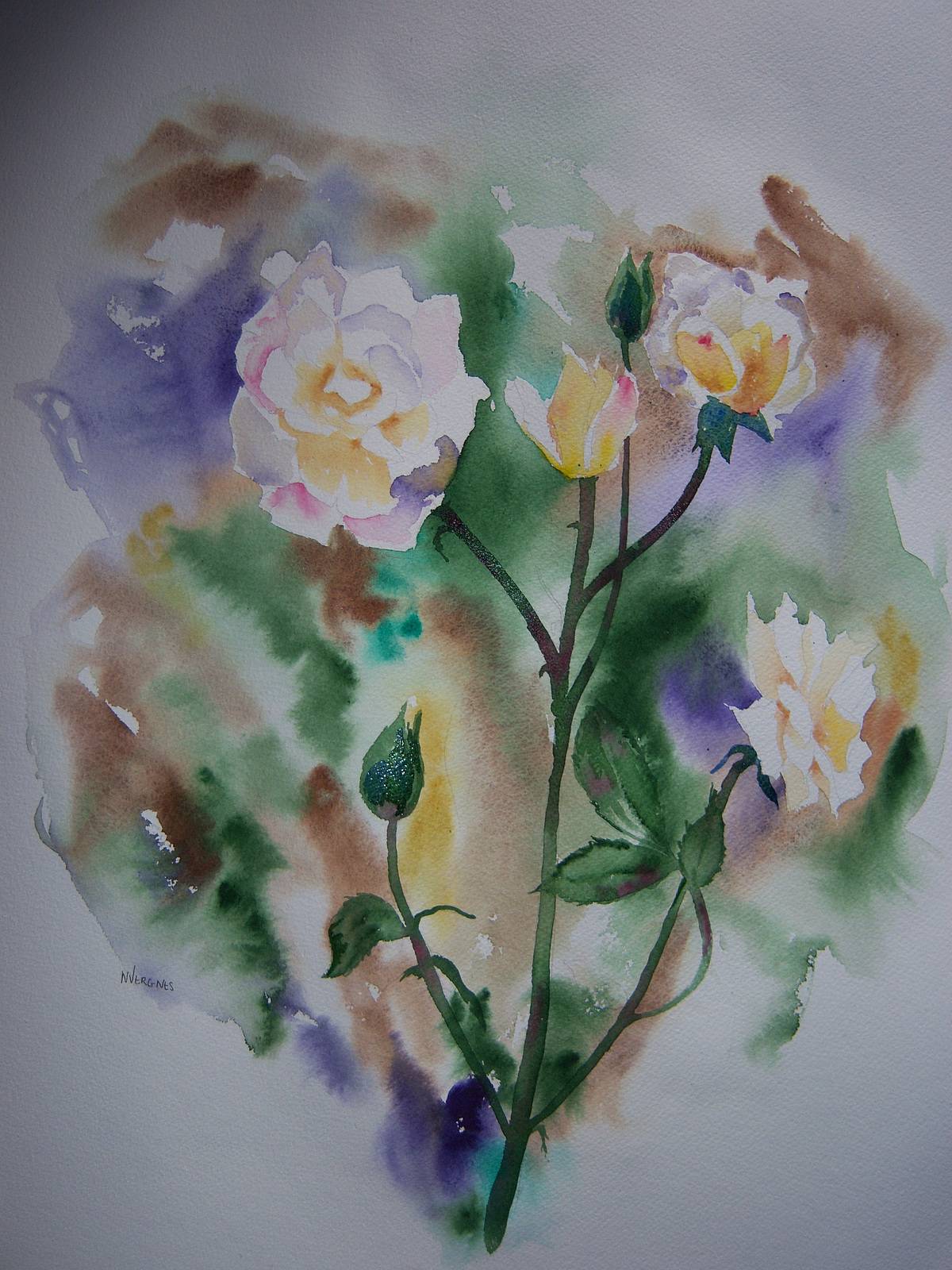 Branch of yellow roses in the spring. 