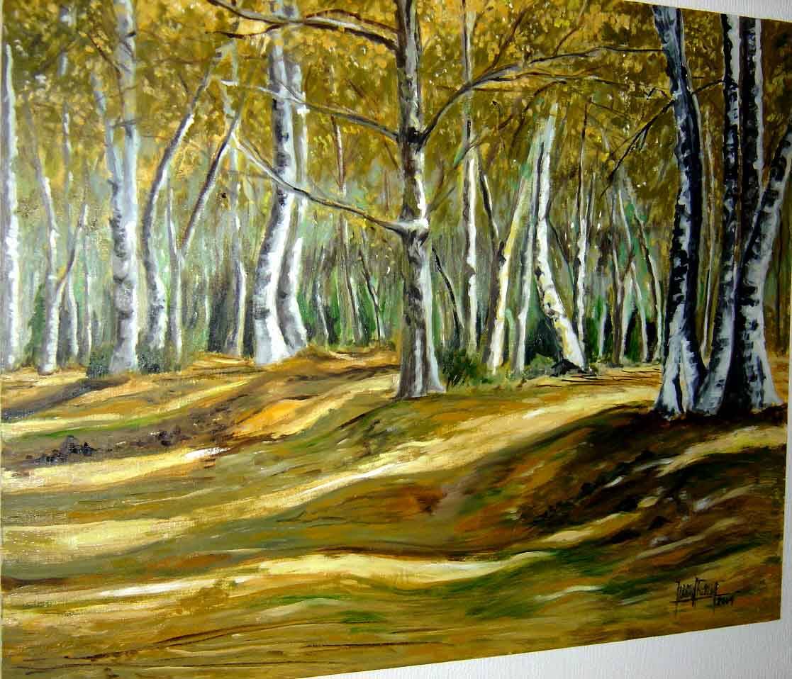 Beech. 