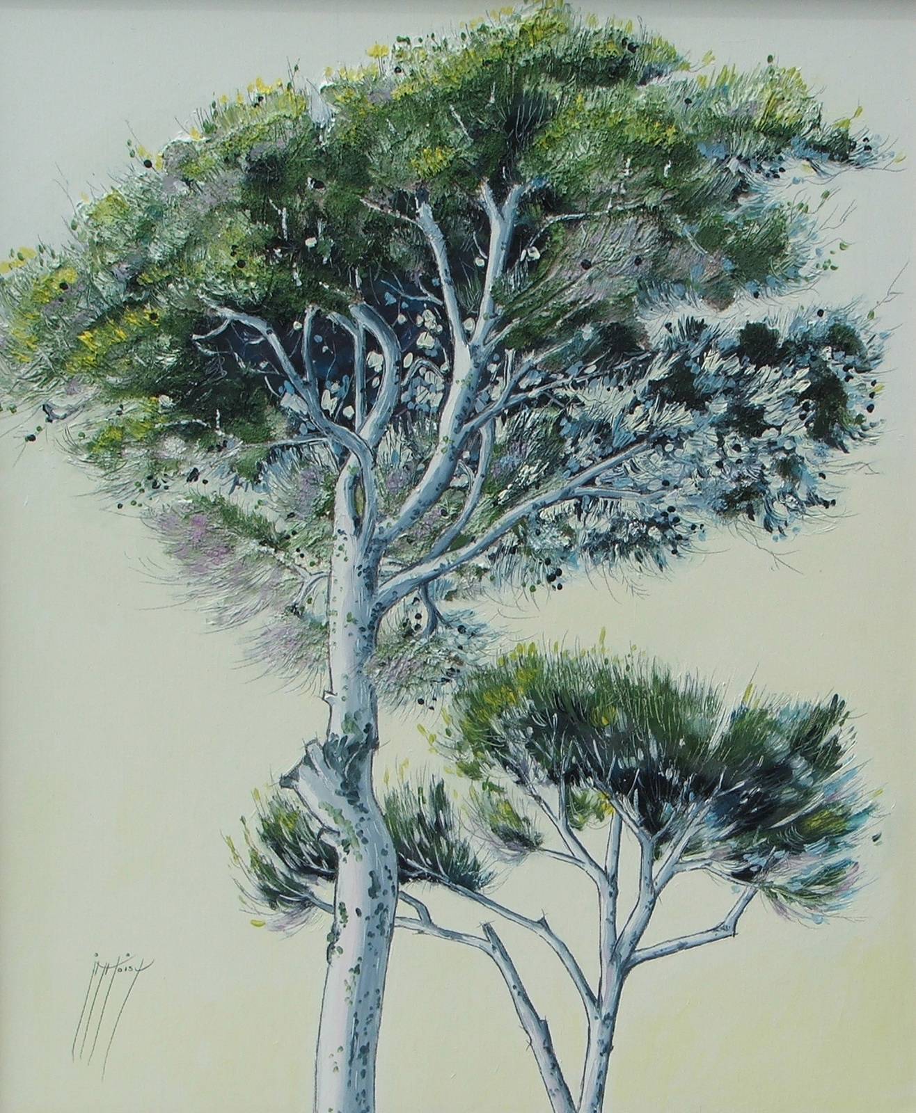 Pines. Jean-Marc Moisy Jean-Marc Moisy