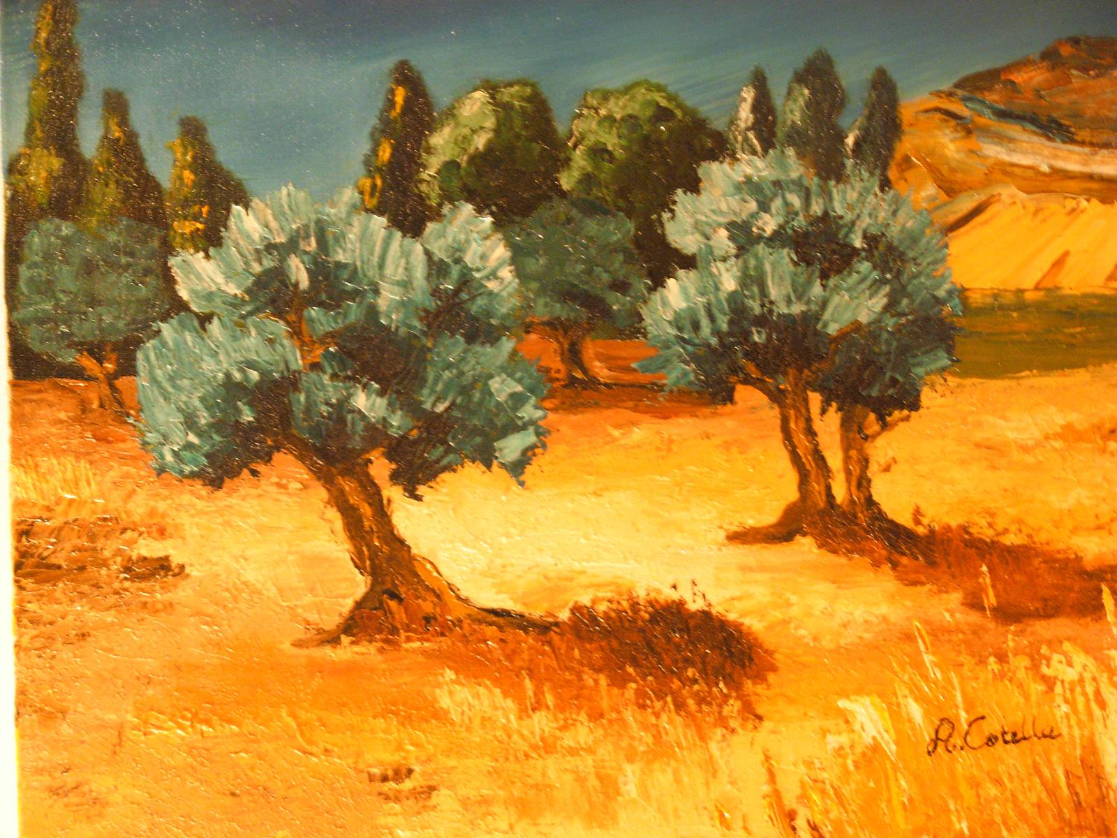 Les oliviers.  Arlette Cotella
