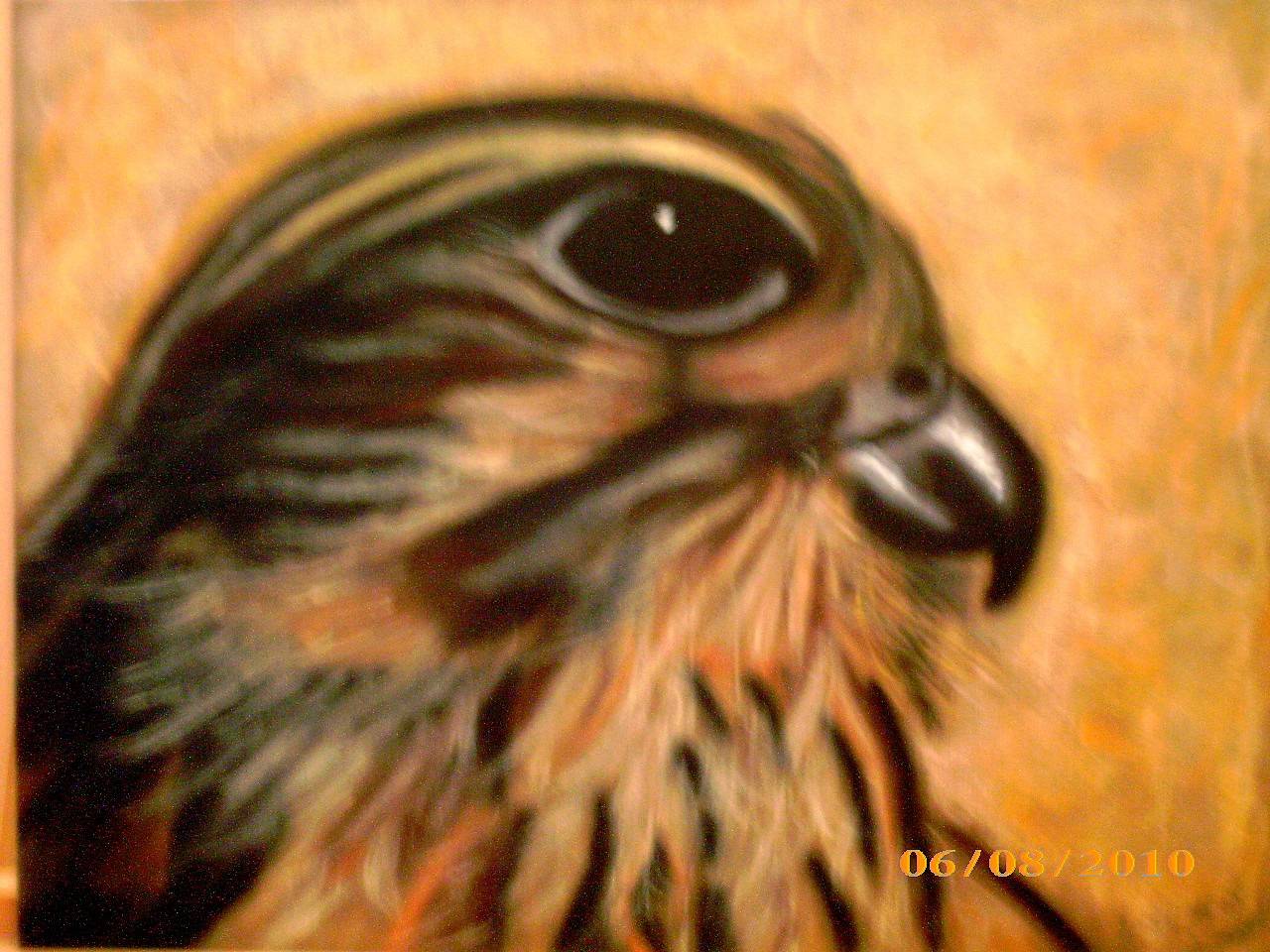 Mon Aigle à moi. 