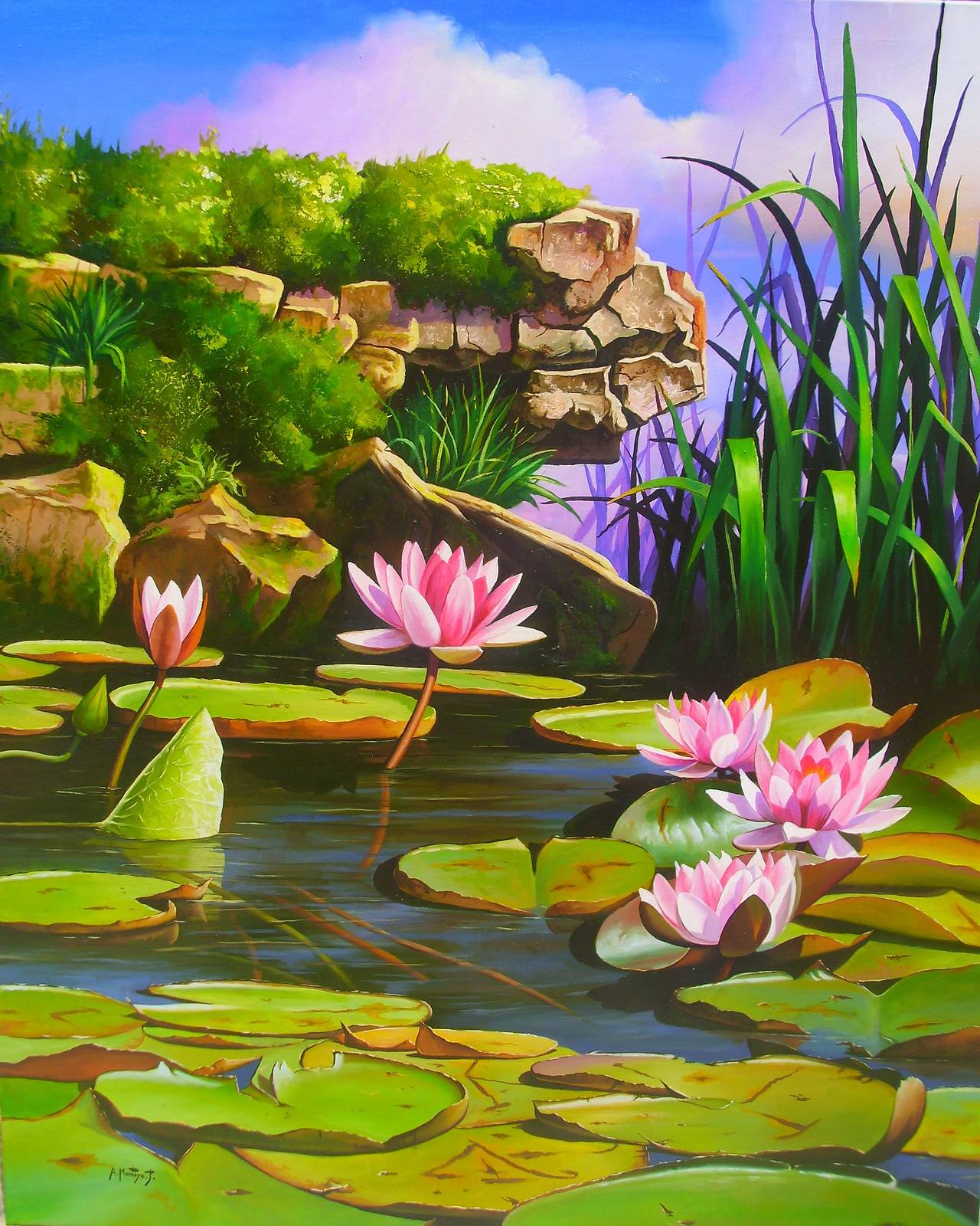 Nenufares. 