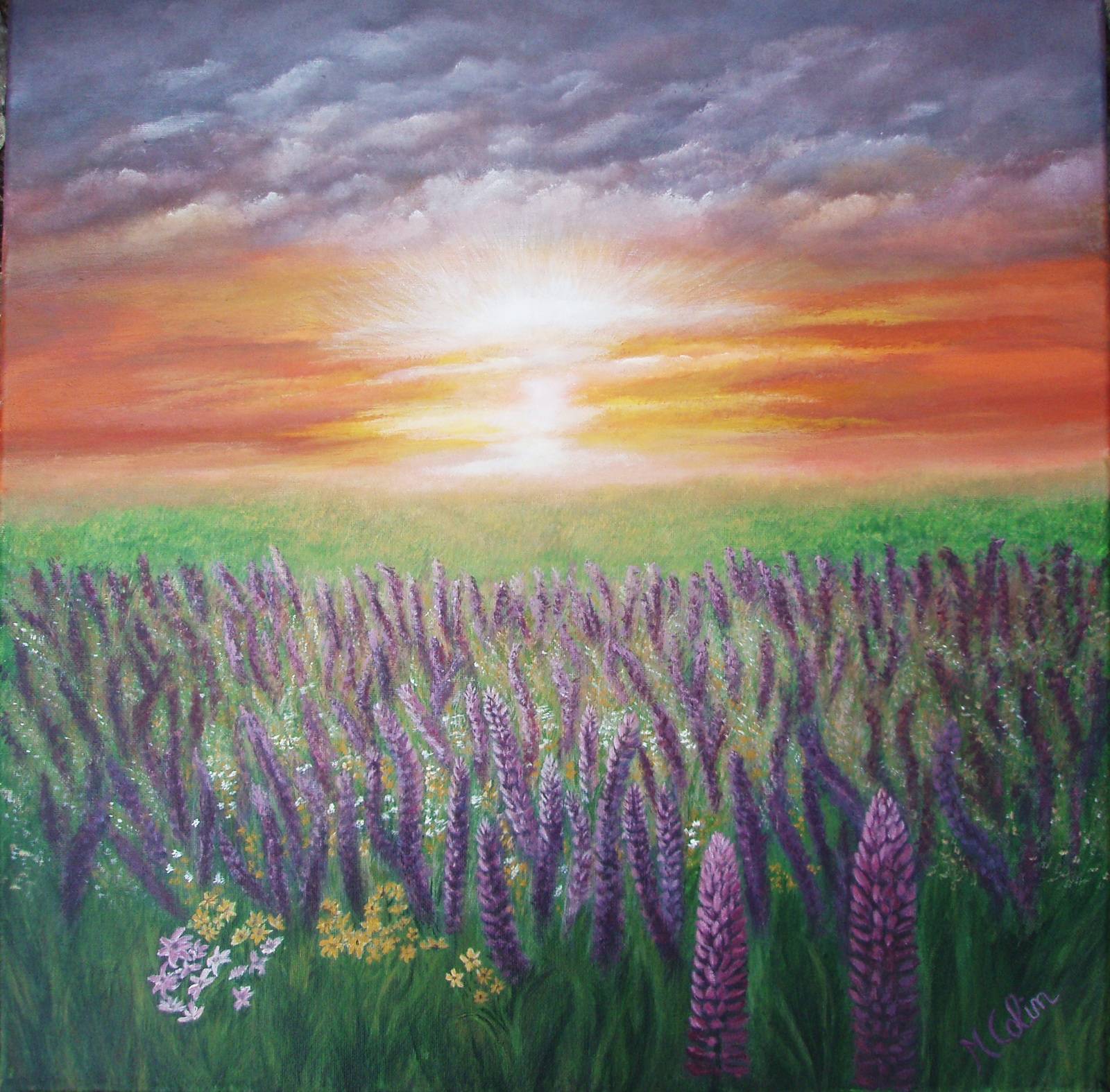 Danse des Lupins. Marie Colin Marie Colin