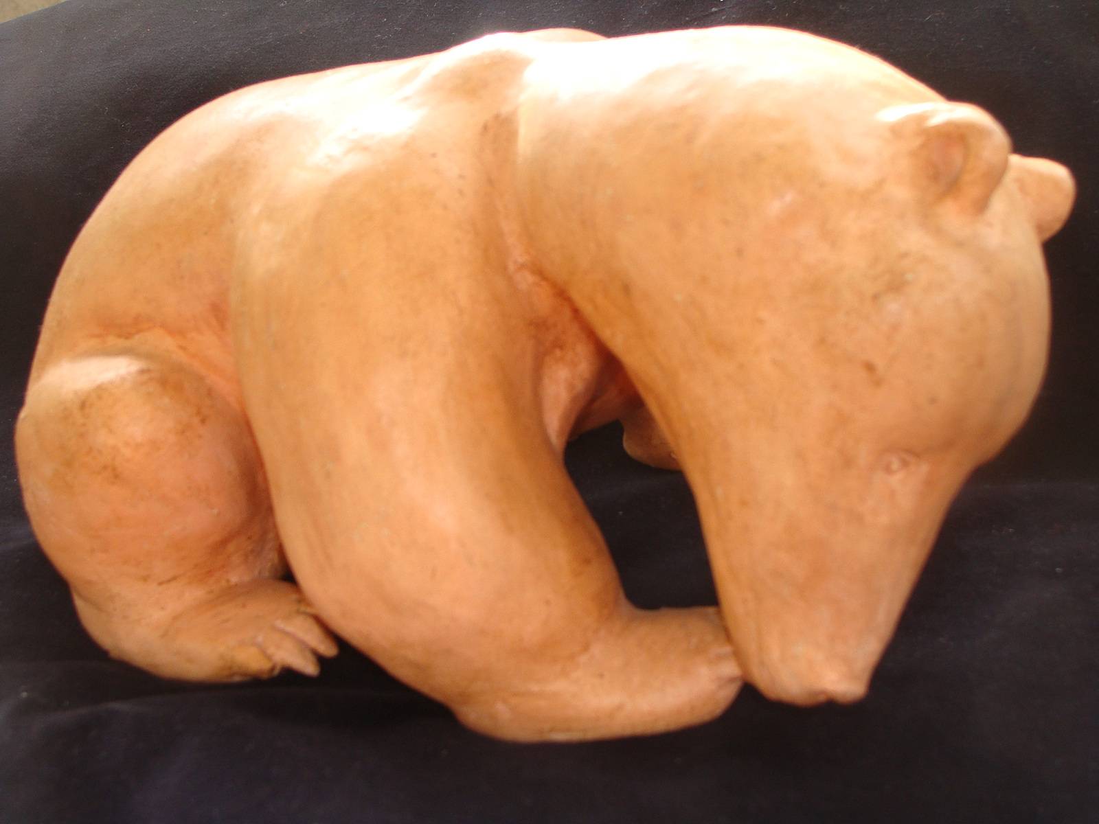 L'ours brun triste de son sort. Marie D