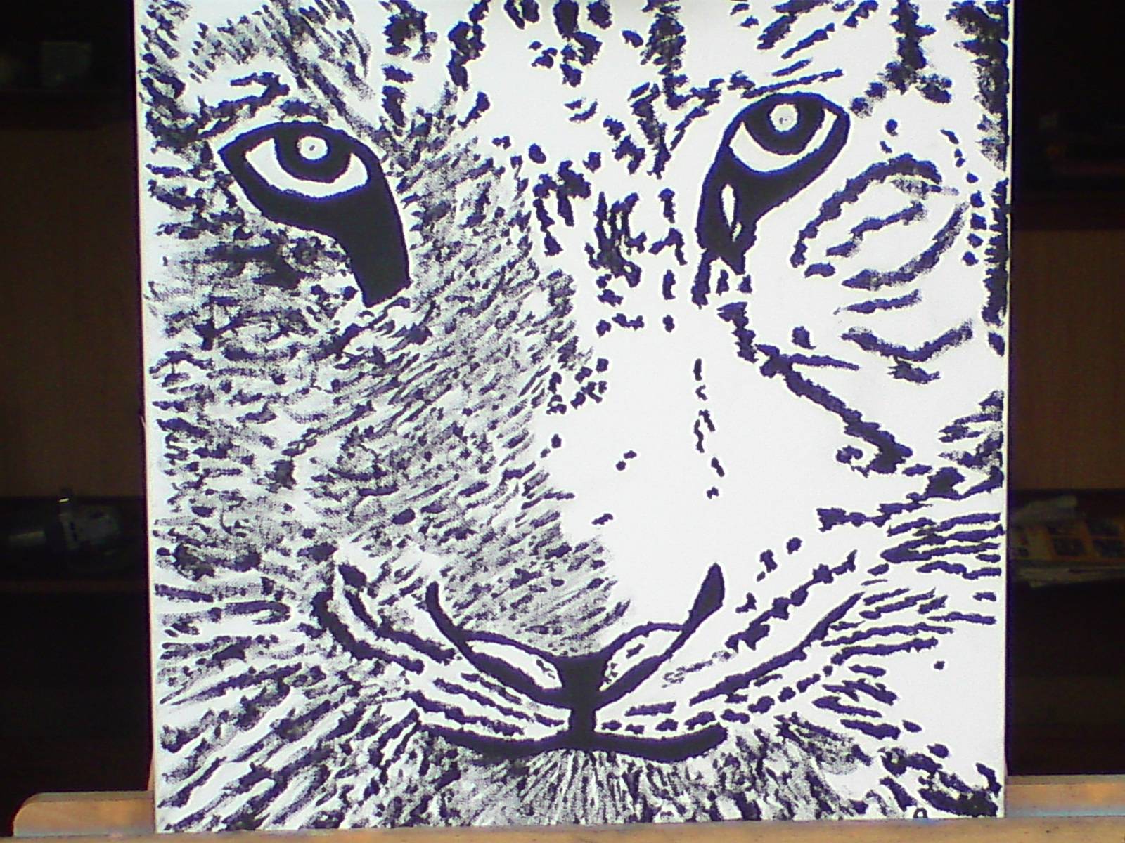 Tigre noir & blanc. 
