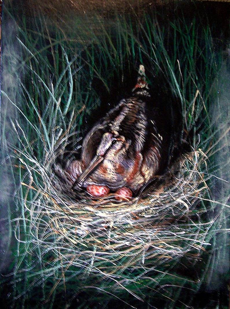 La bécasse des bois. Diane