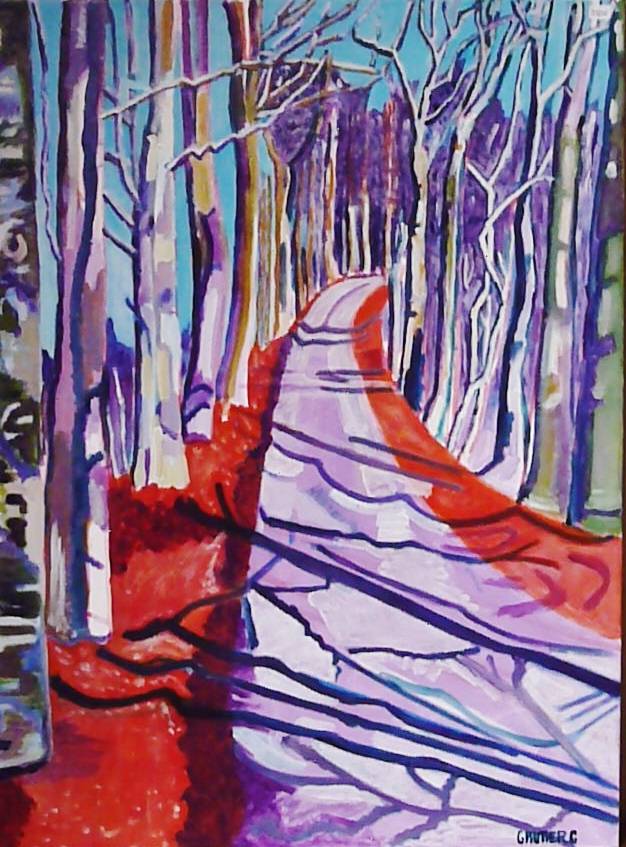 Chemin d'hiver. 