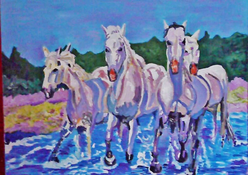 Camarguais au galop franchissant un gué. 