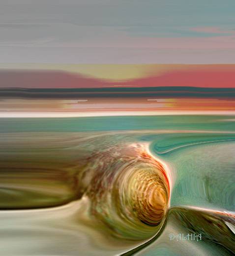 Le coquillage abandonné. Dalhia Dalhia